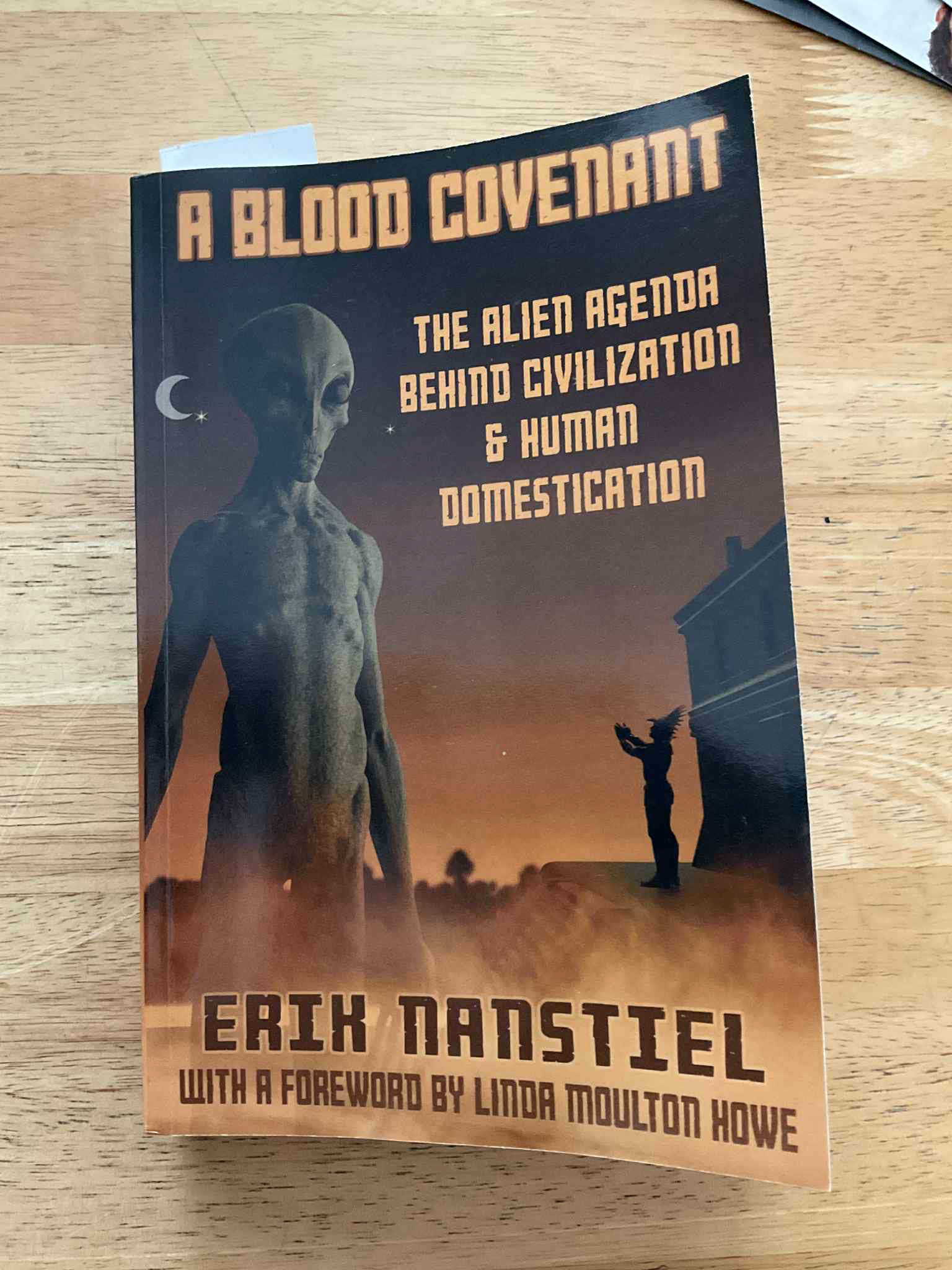 A Blood Covenant (nonfiction) Book