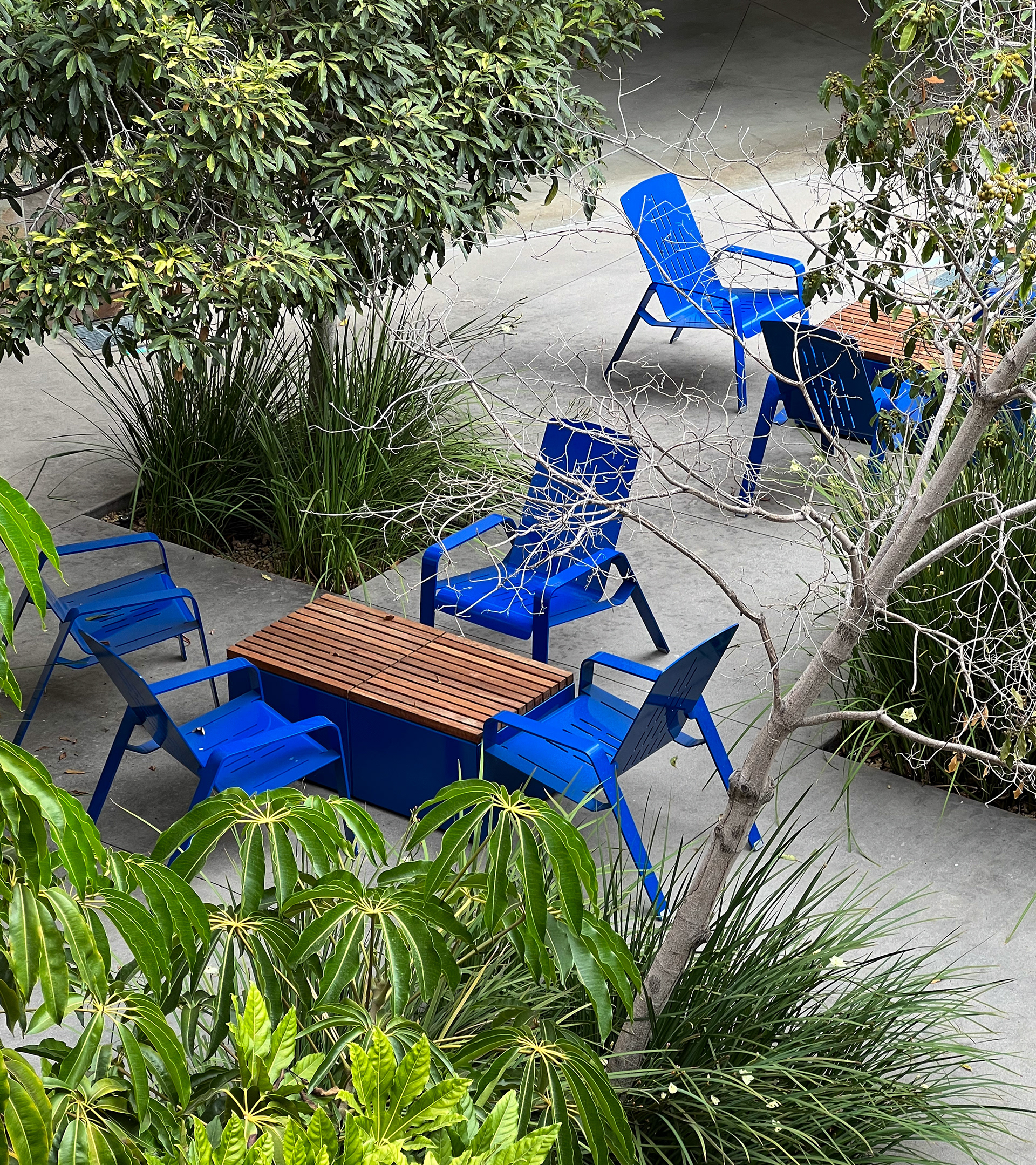 Blue Chairs
