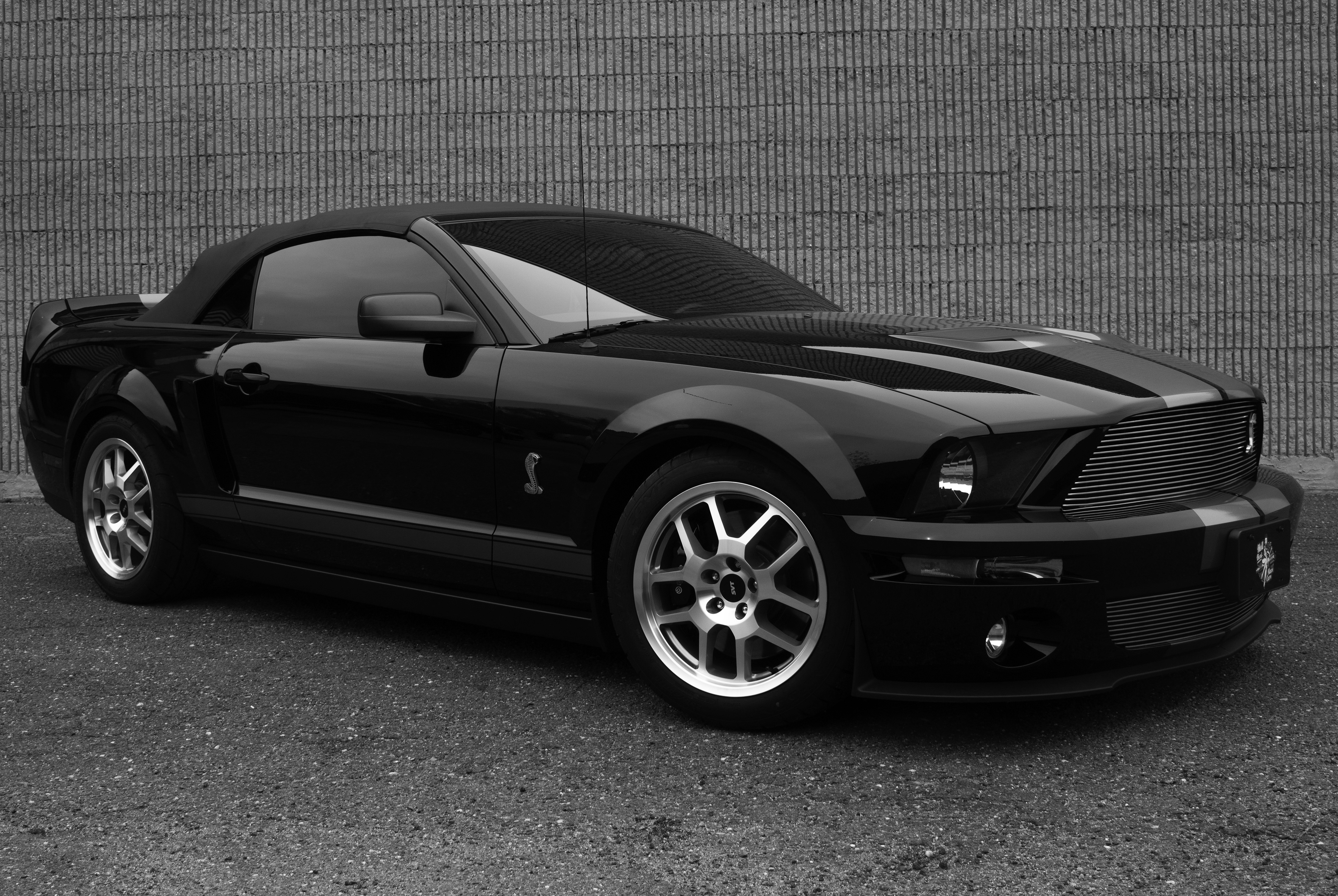 2005 Mustang