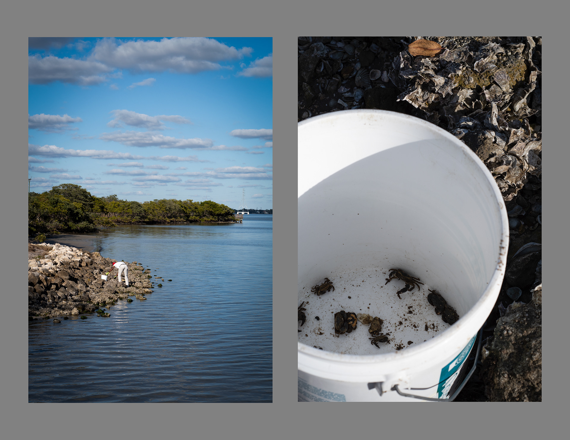 5 | Safety Harbour, FL