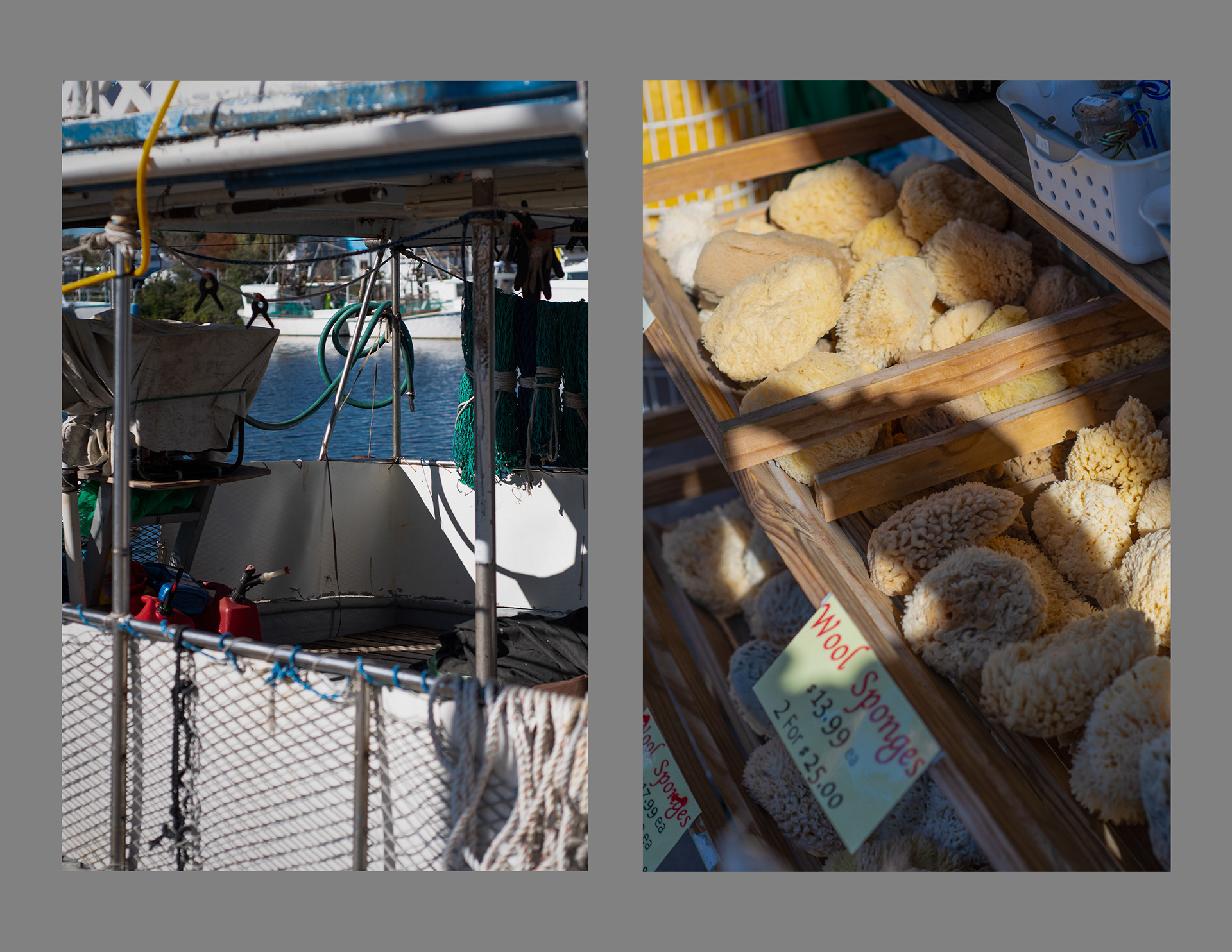 8 | Tarpon Springs, FL