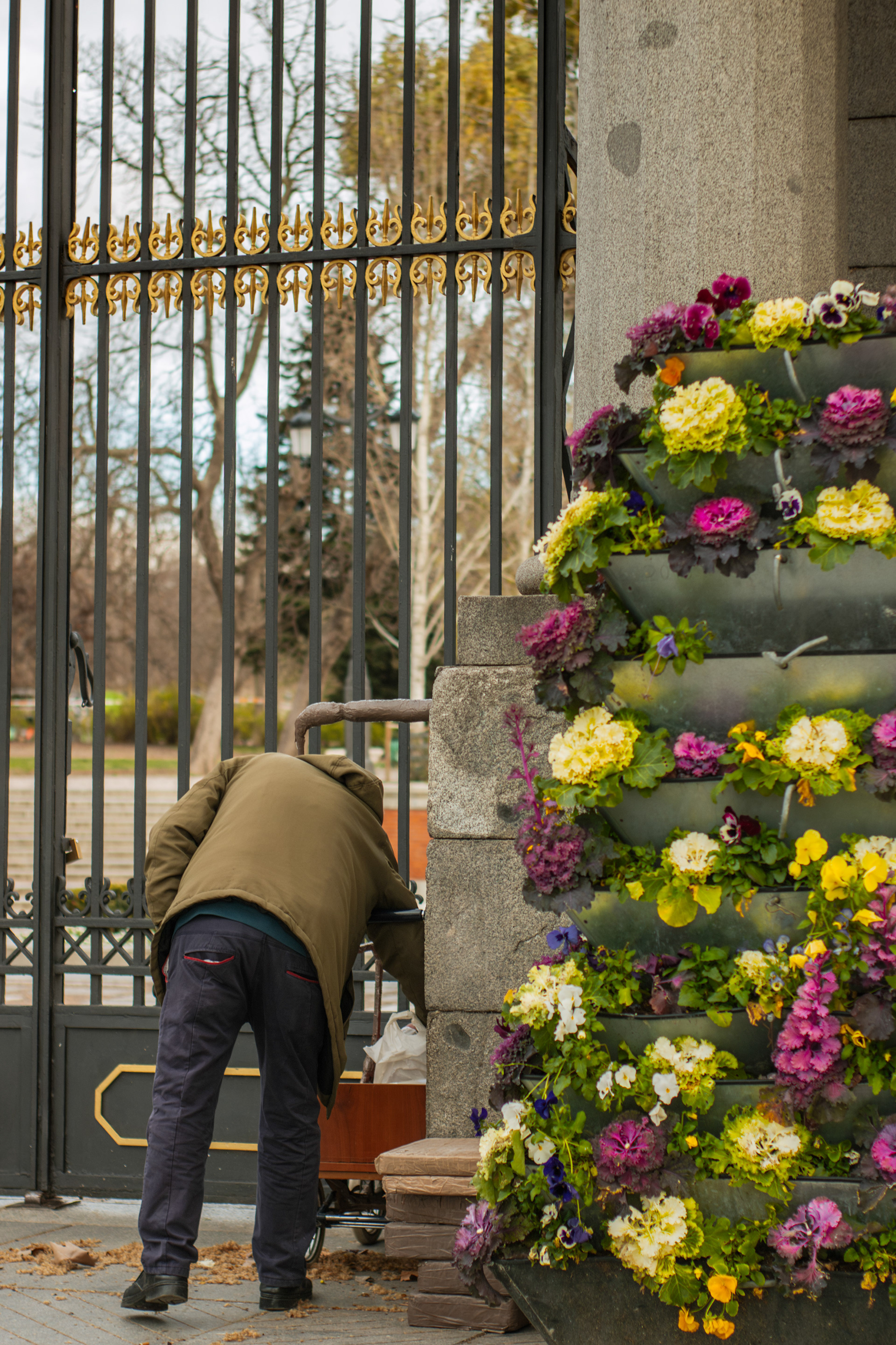 Parque del Retiro. 2023