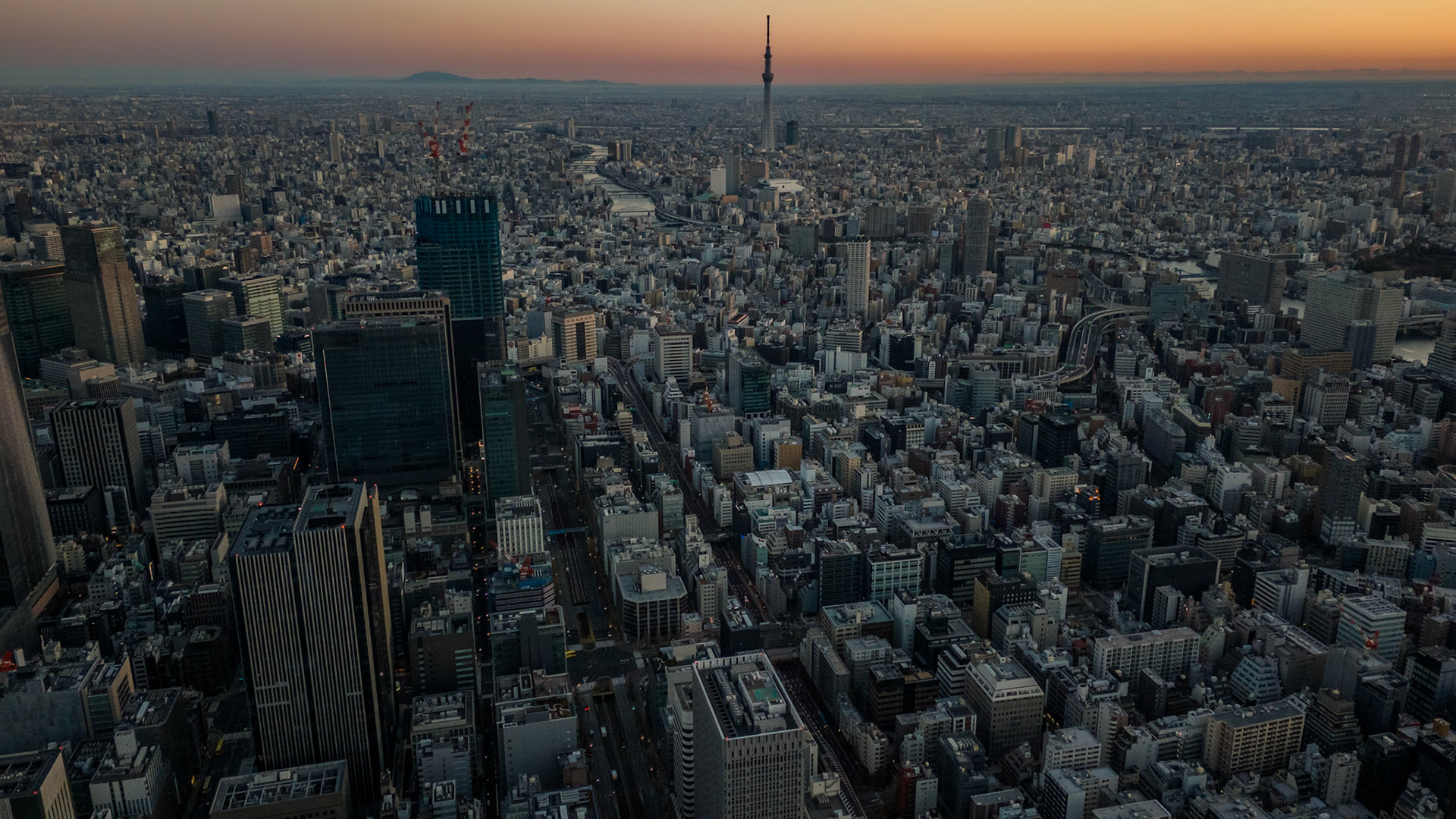 Tokyo | January 2025