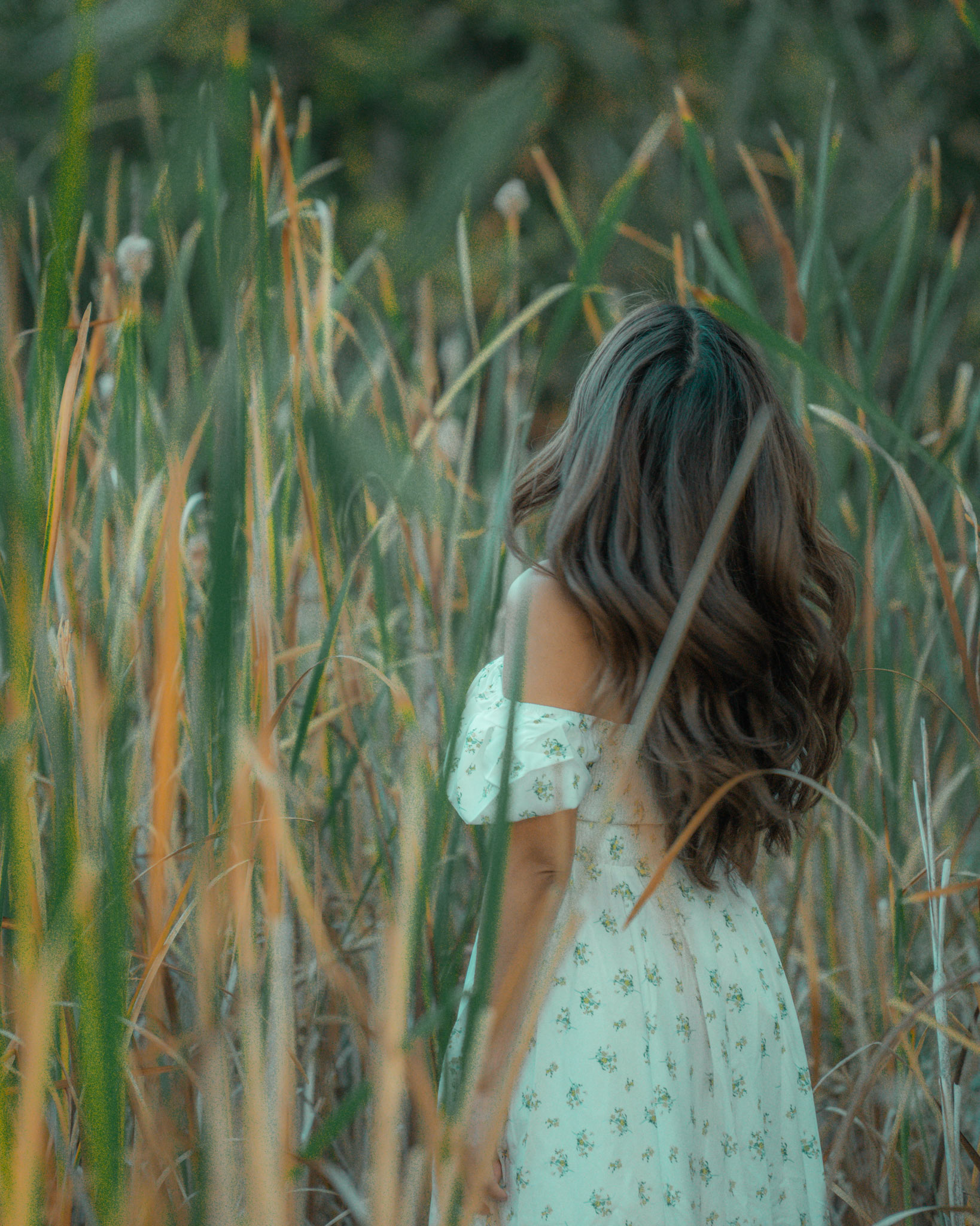 Shasta | October 2024