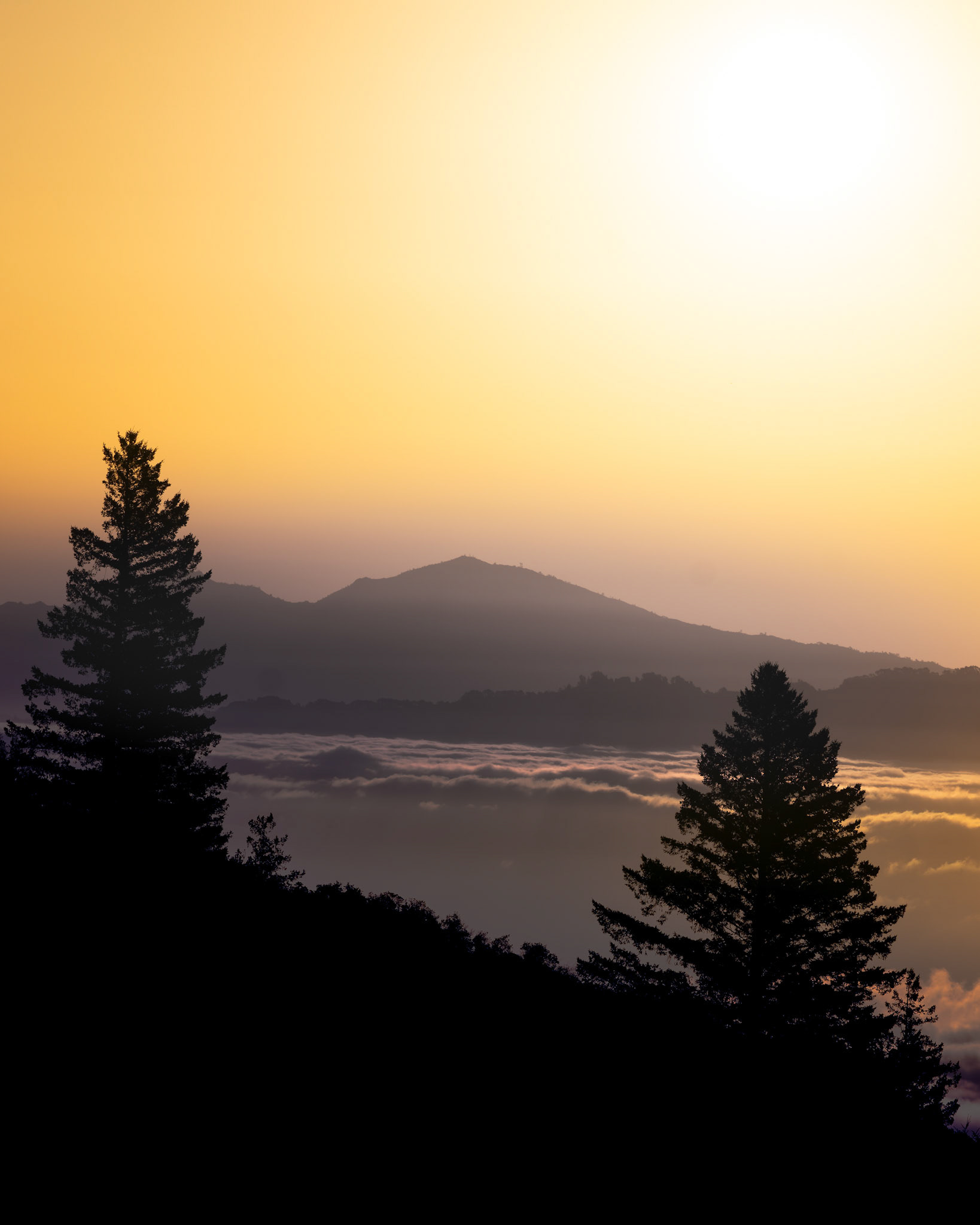 Mt. Tam | April 2024