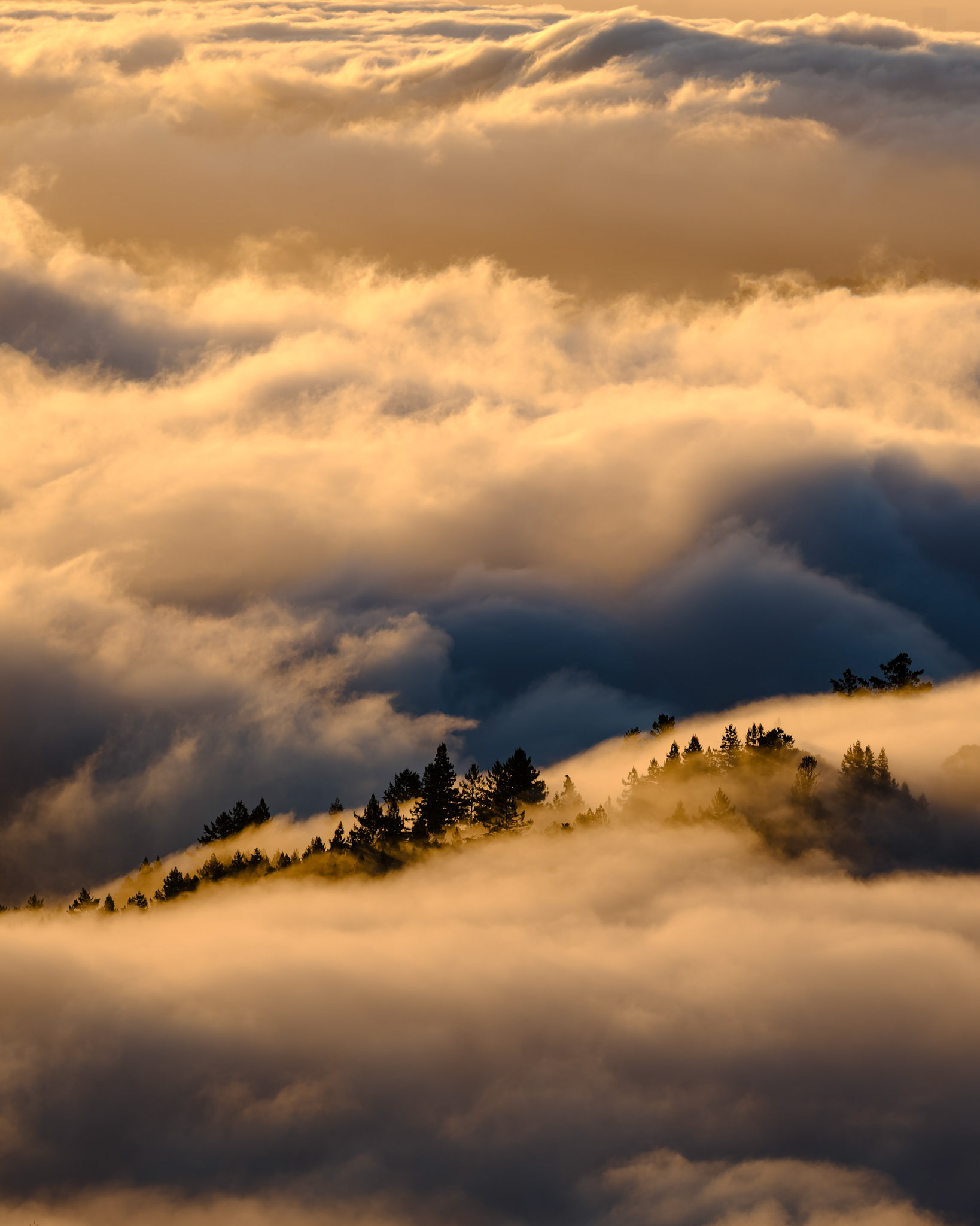 Mt. Tam | April 2024