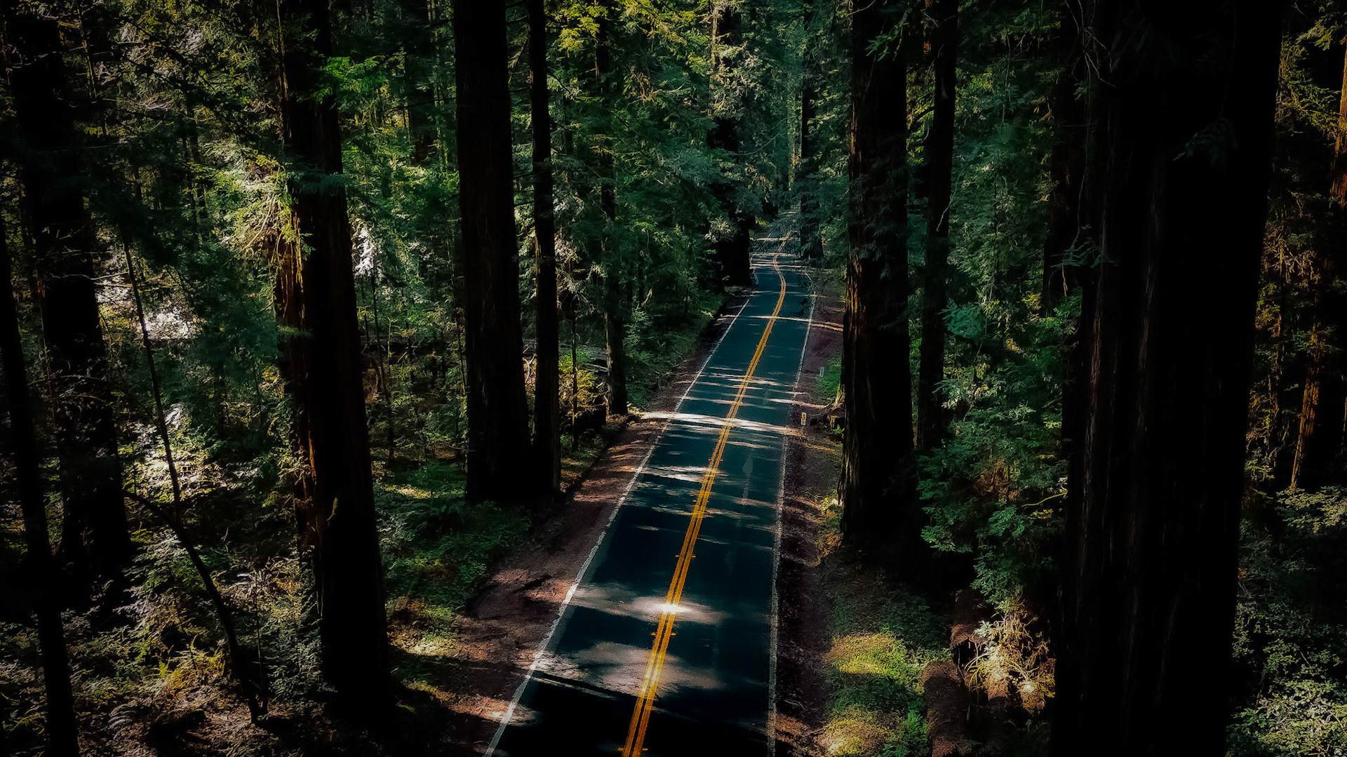 Humboldt | April 2025