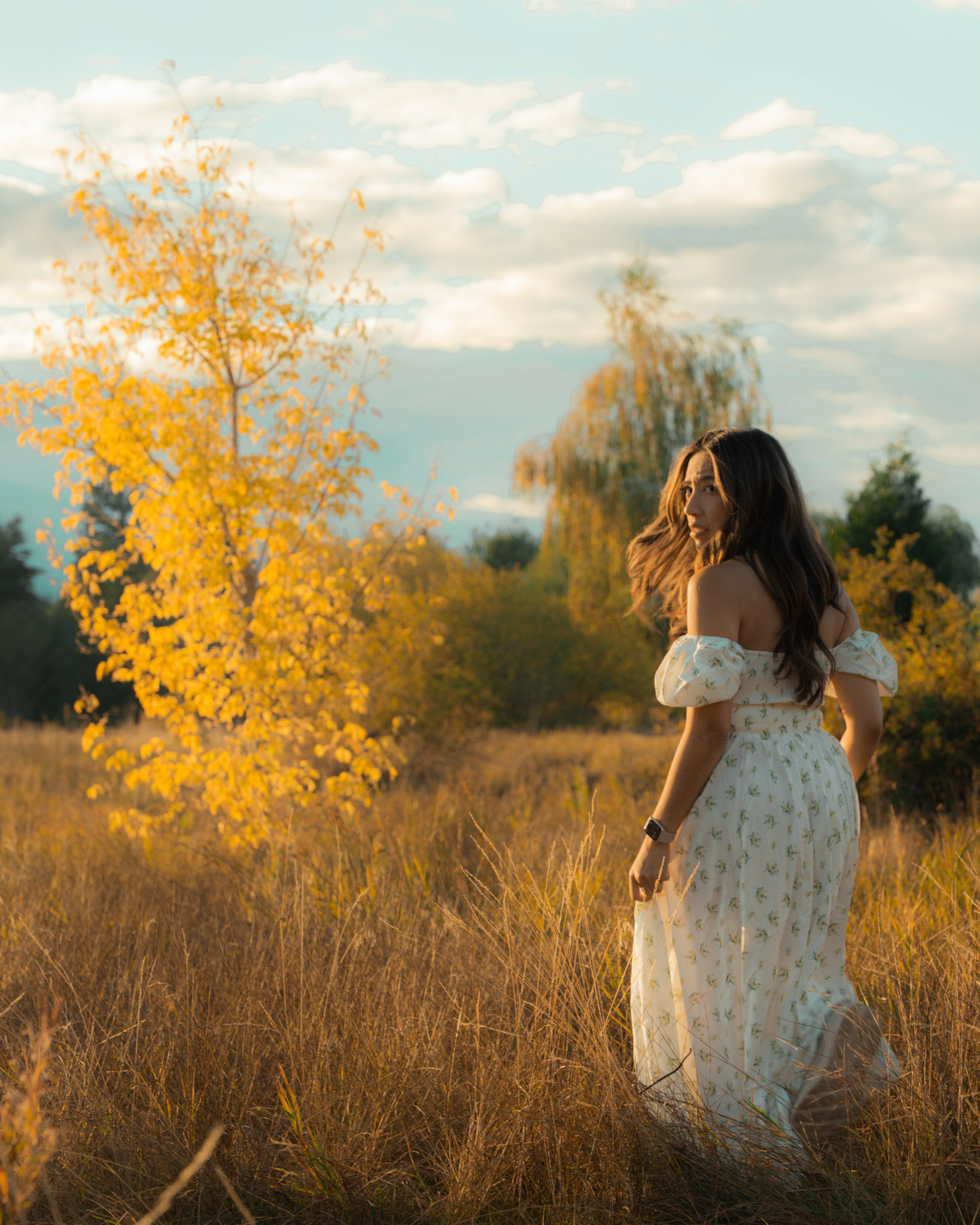 Shasta | October 2024