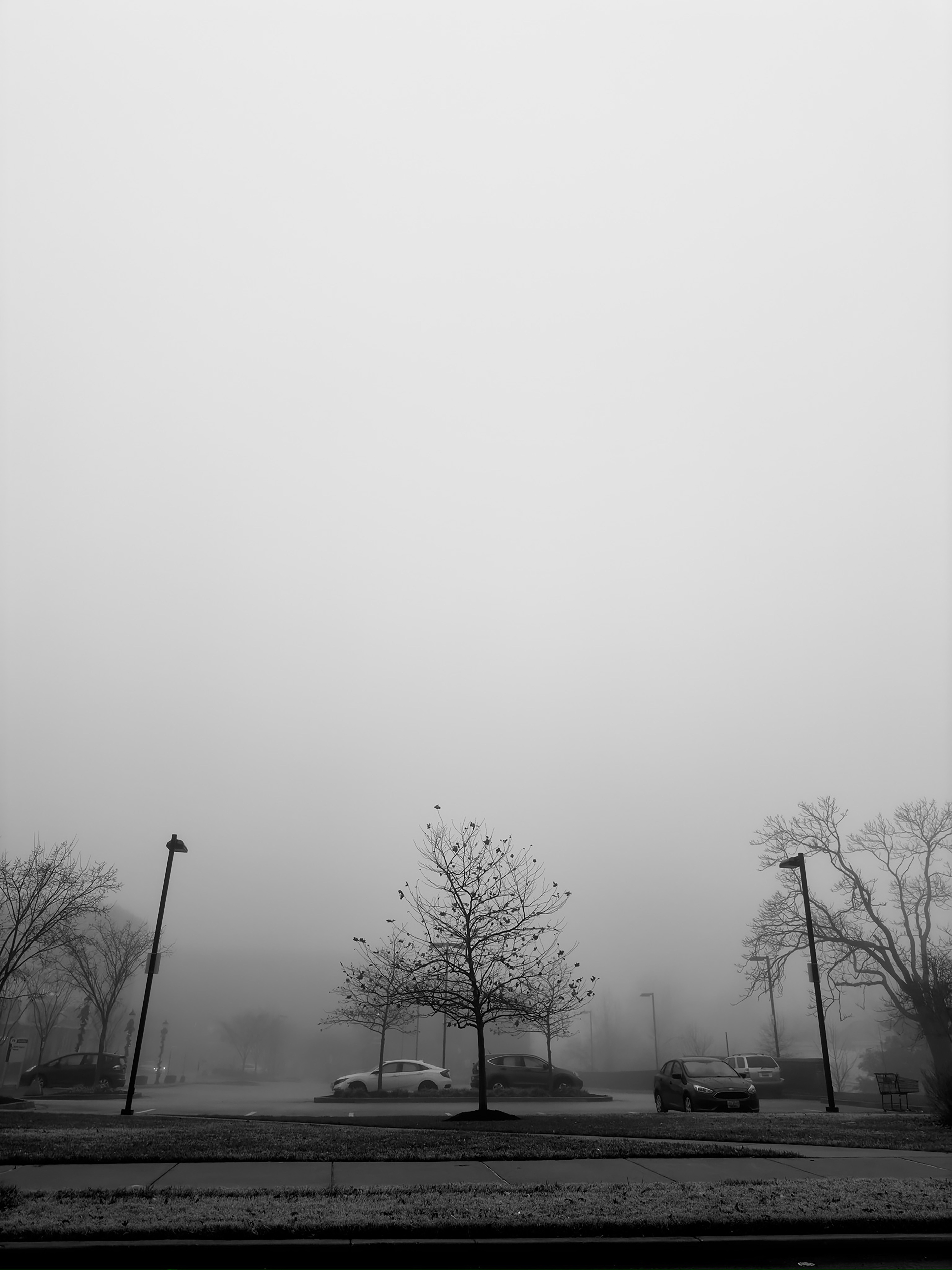 Veil of Silence