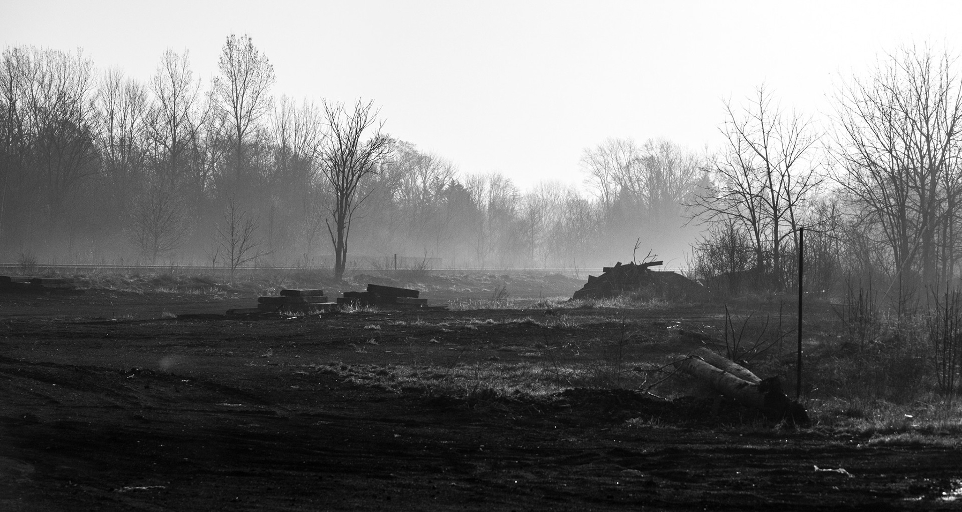 Foggy Morning