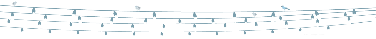 Strung lights with birds Copyright 2017-2018 Cityscape Creative
