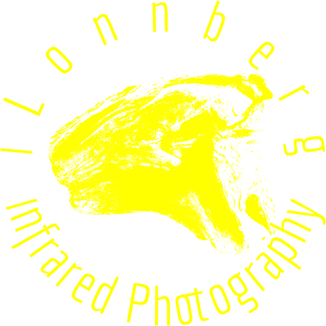 Isak Lönnberg