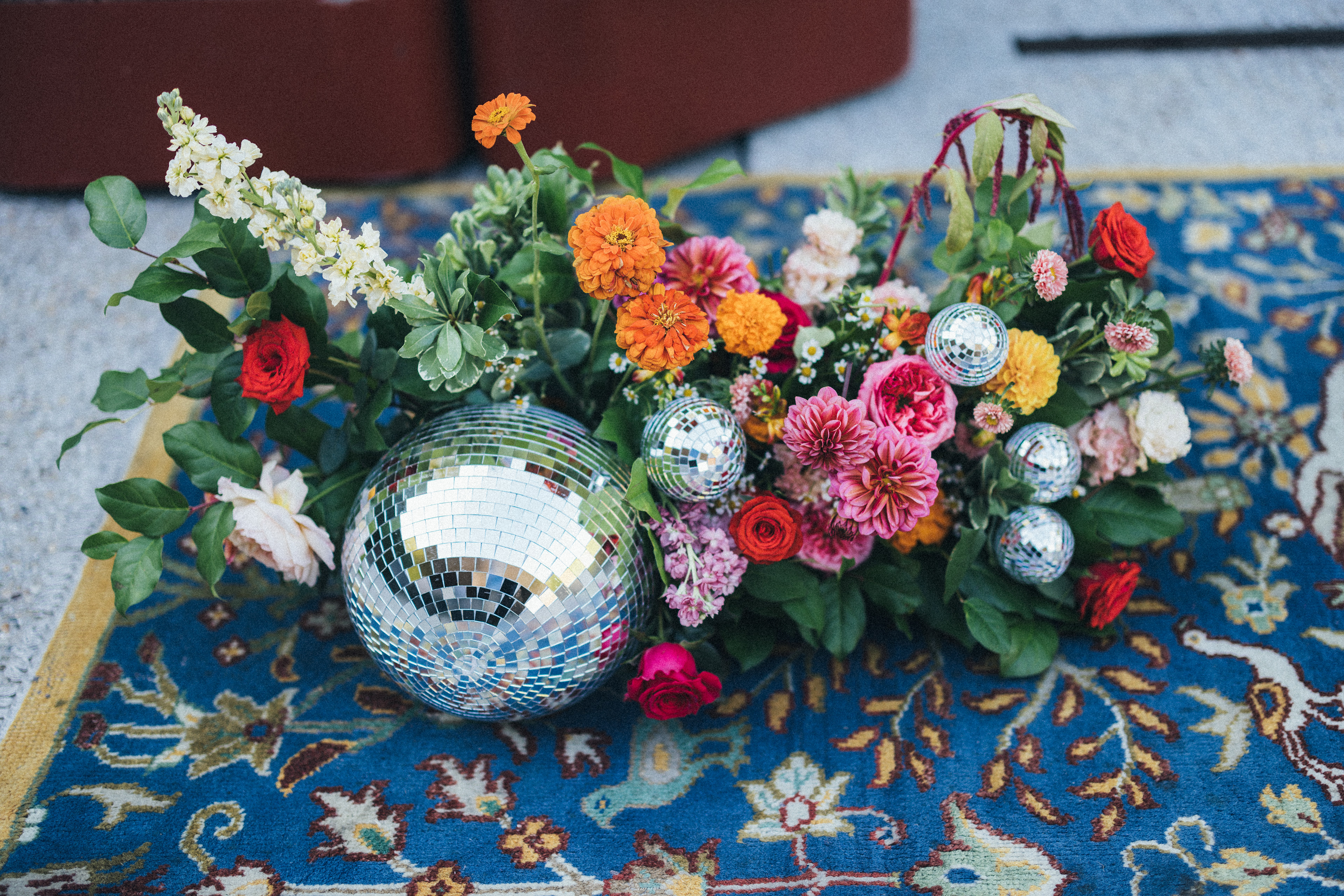 Abigail Gorden Photography