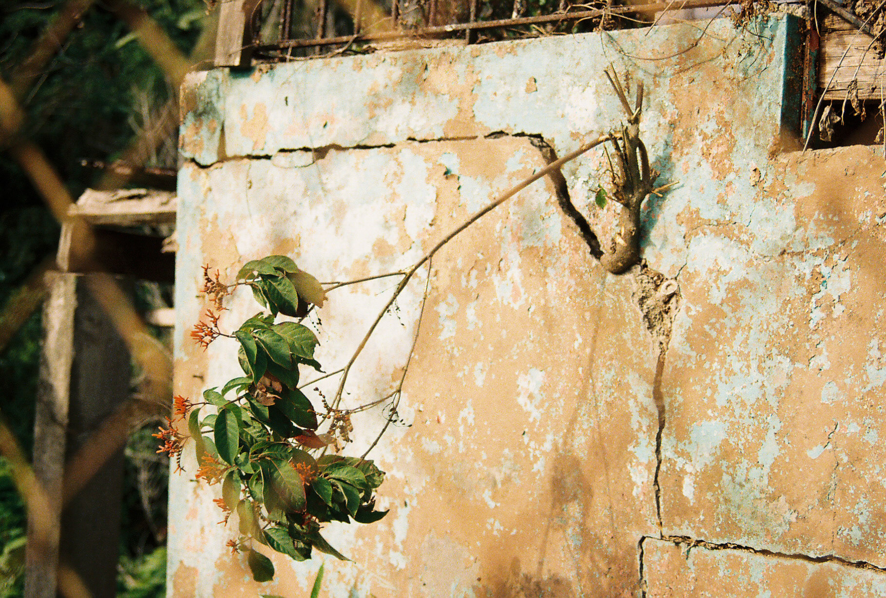 Puerto Rico