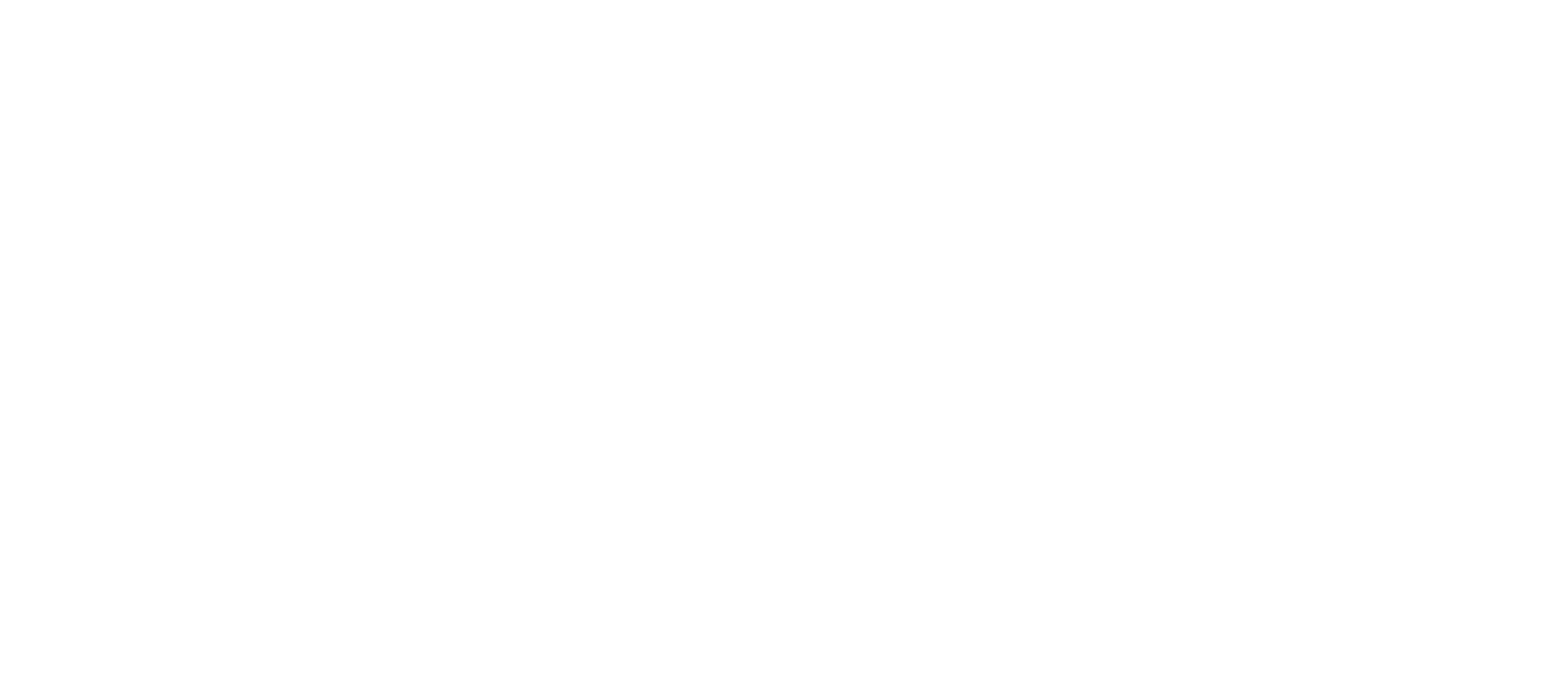 Chris Toro