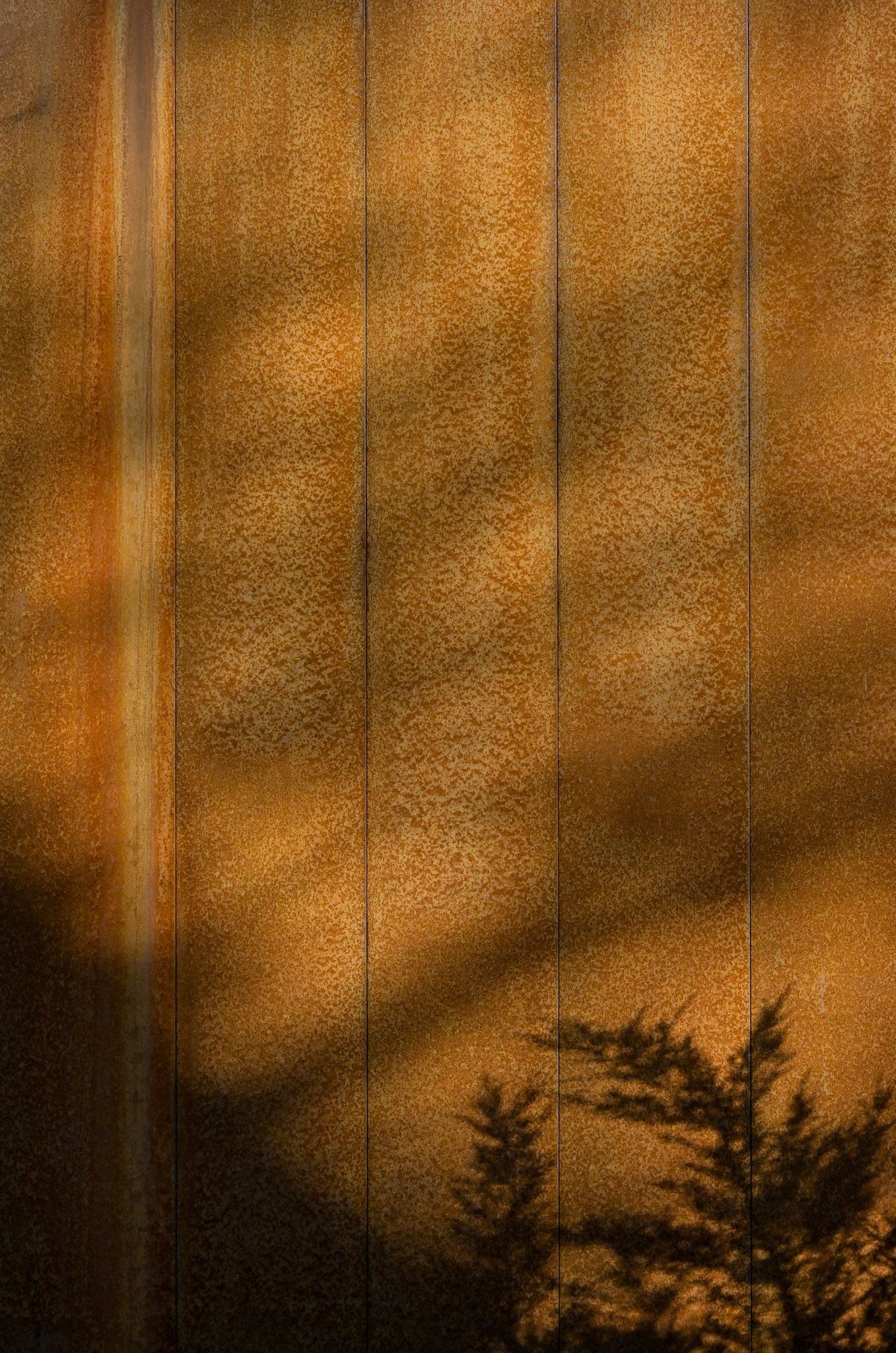 Shadows and Rust.