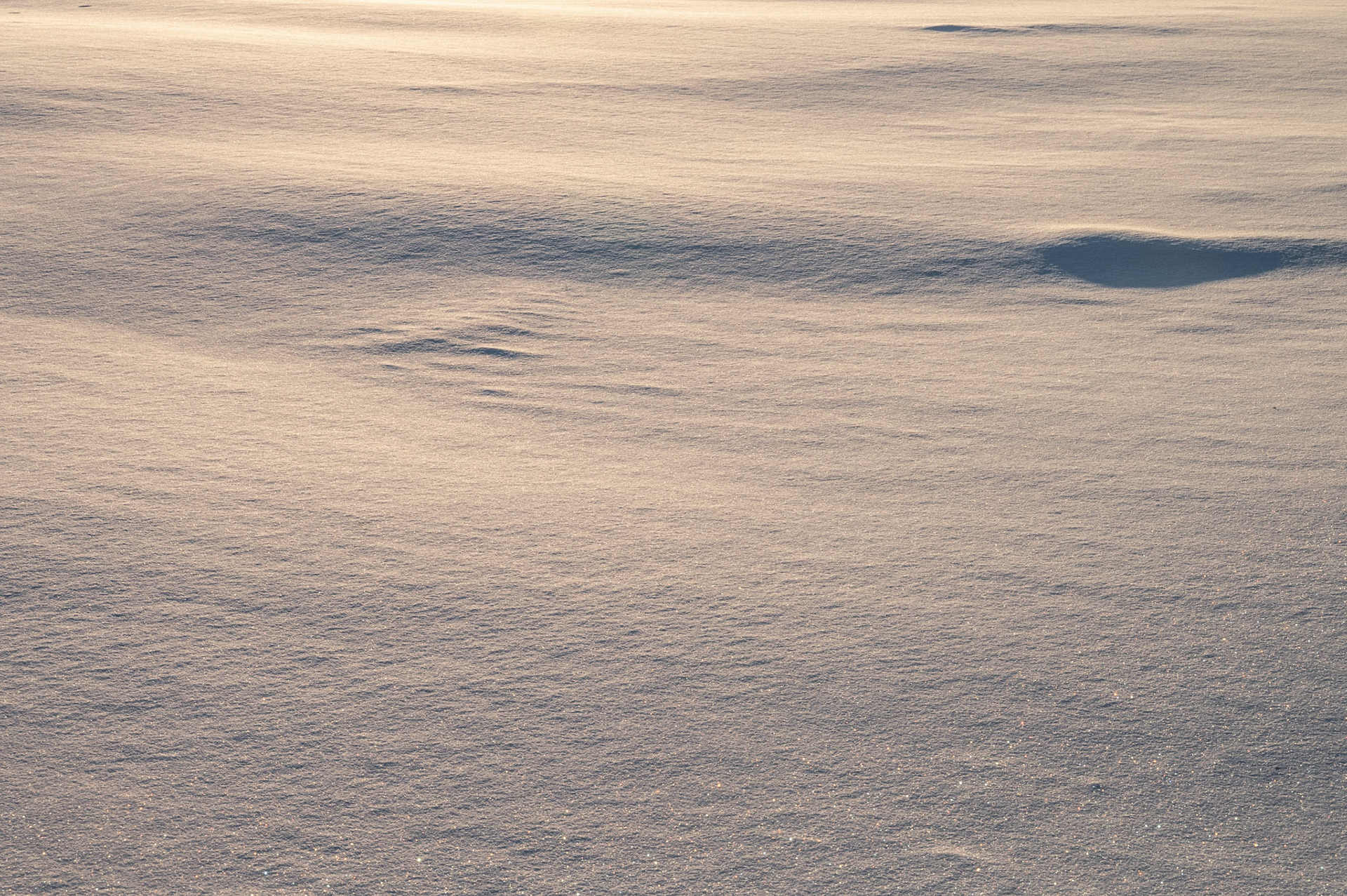 Winterscape, Washington Island WI