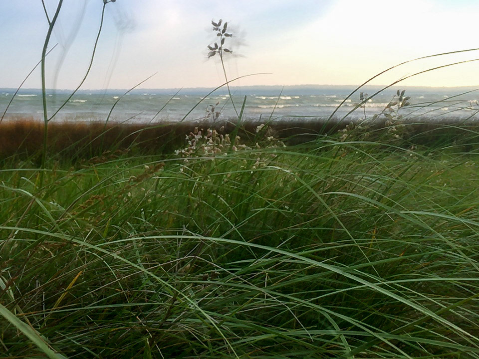 "Beach Grass" - Washington Island, SlowShutter app, 2016