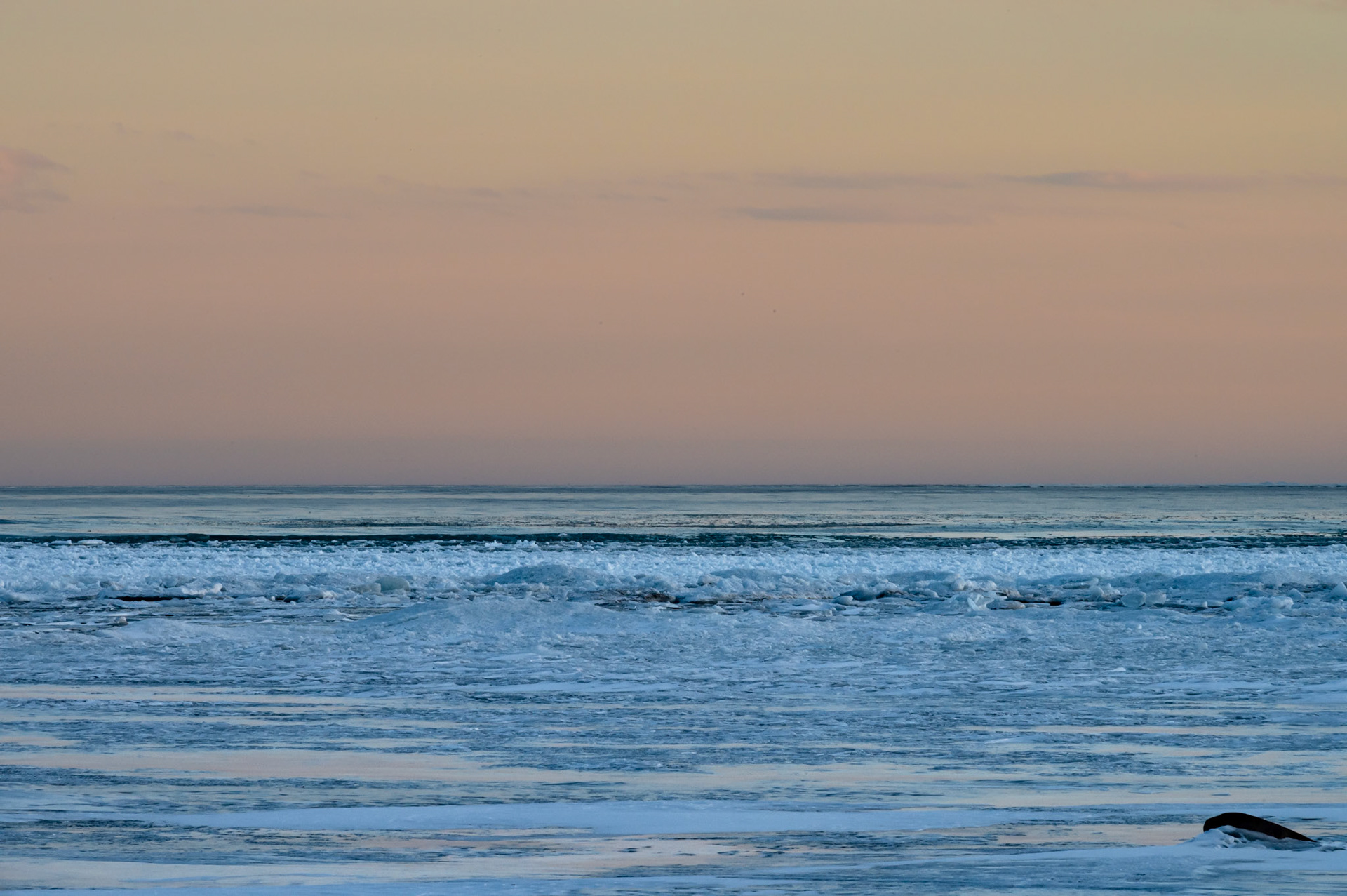 Looking south over Lake Michigan.