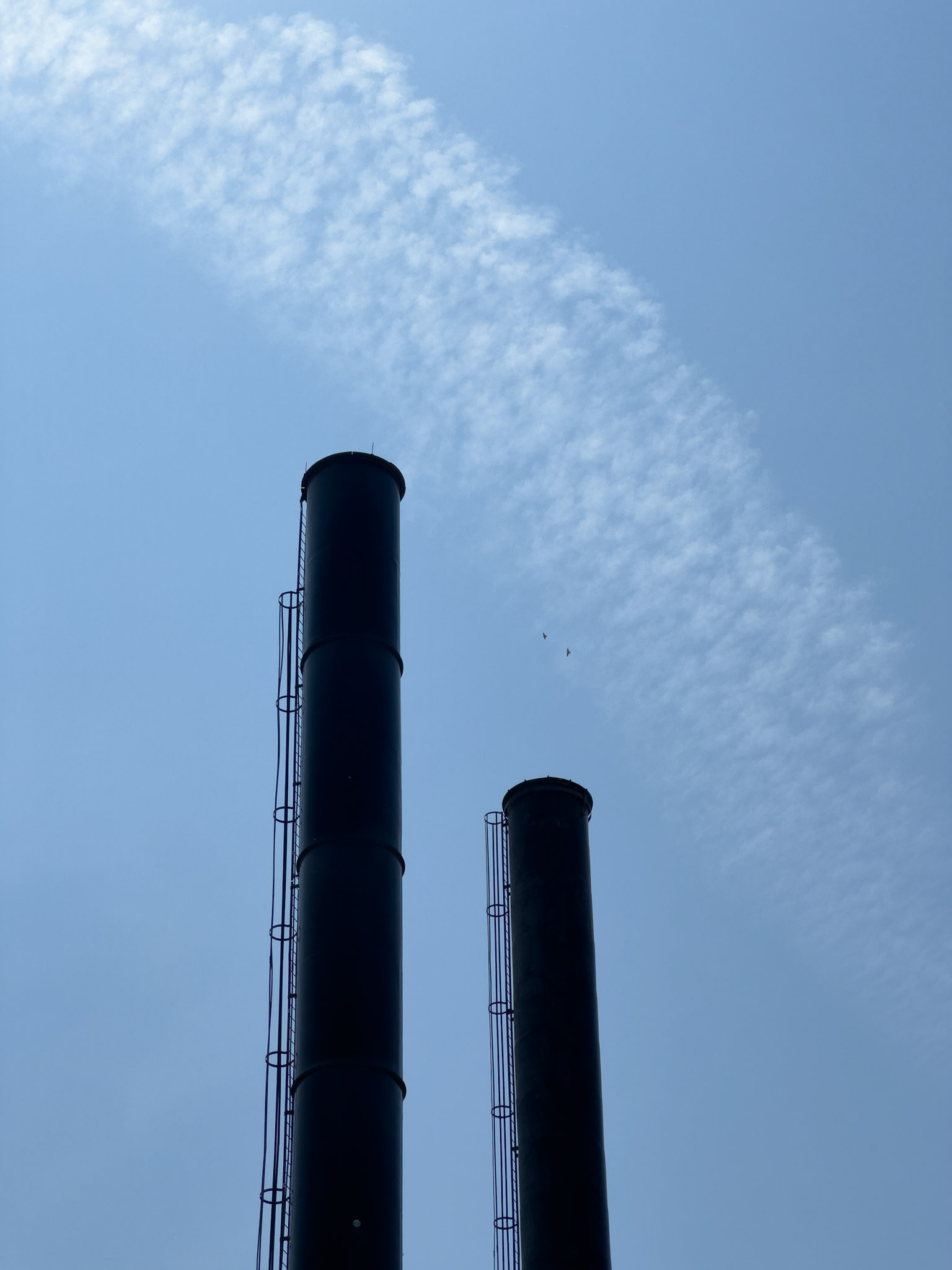 Two stacks. One contrail. Two birds.