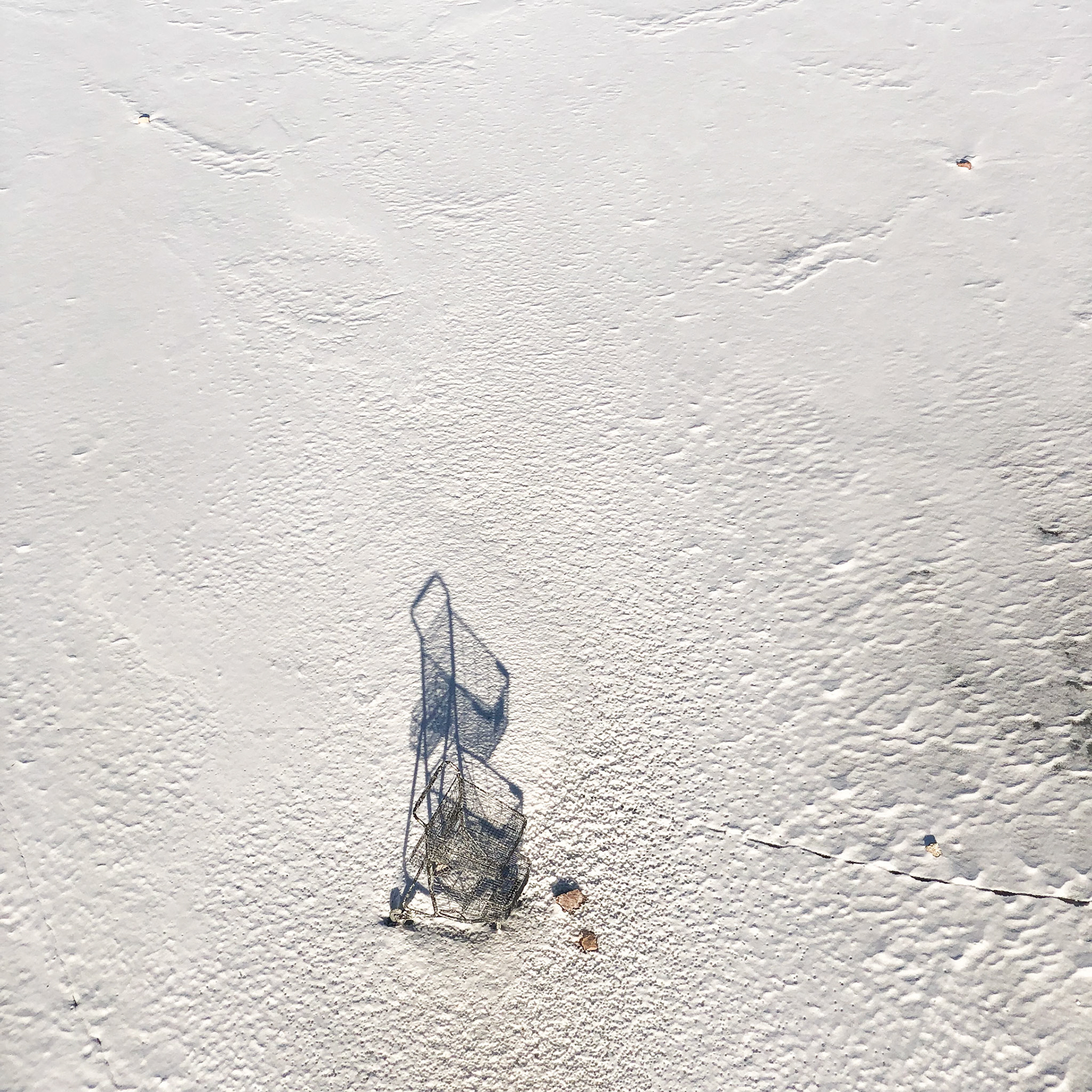 "Shopping Cart on Ice", Milwaukee, 2022