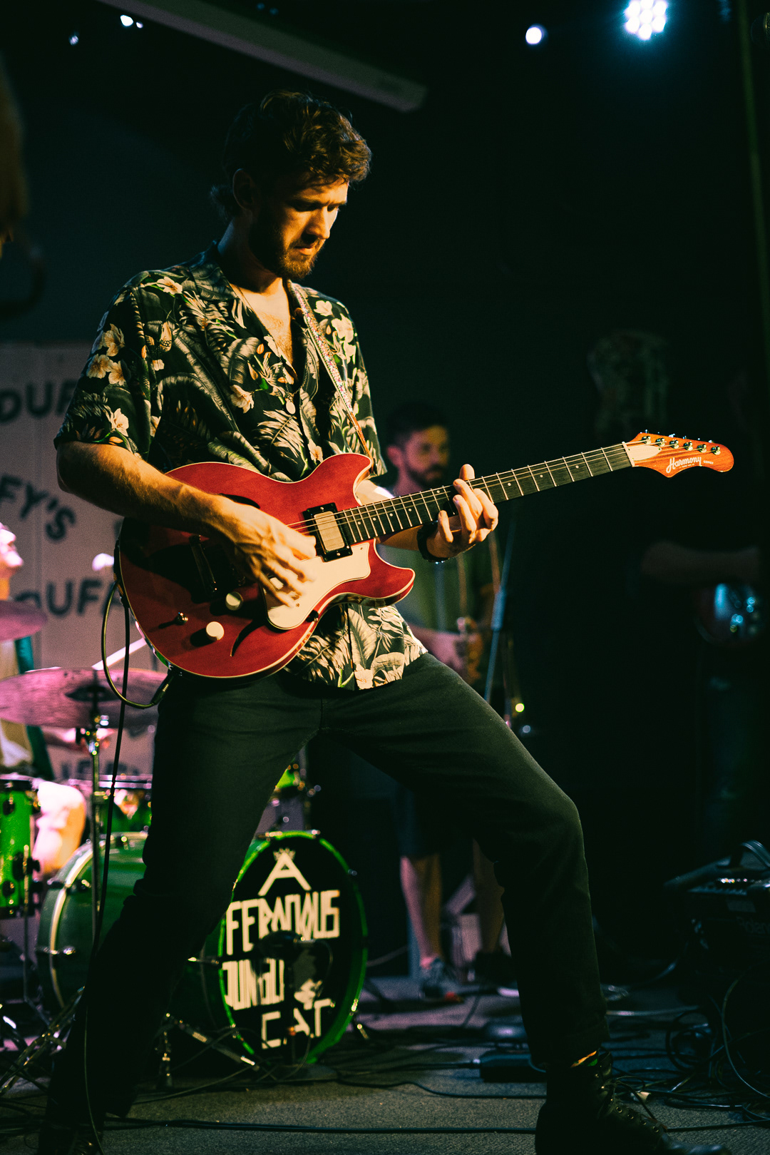 A Ferocious Jungle Cats