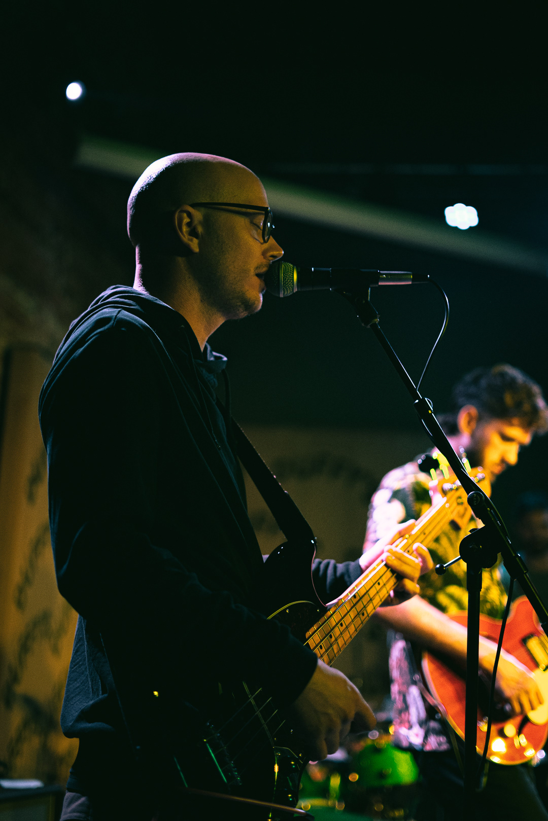 A Ferocious Jungle Cats