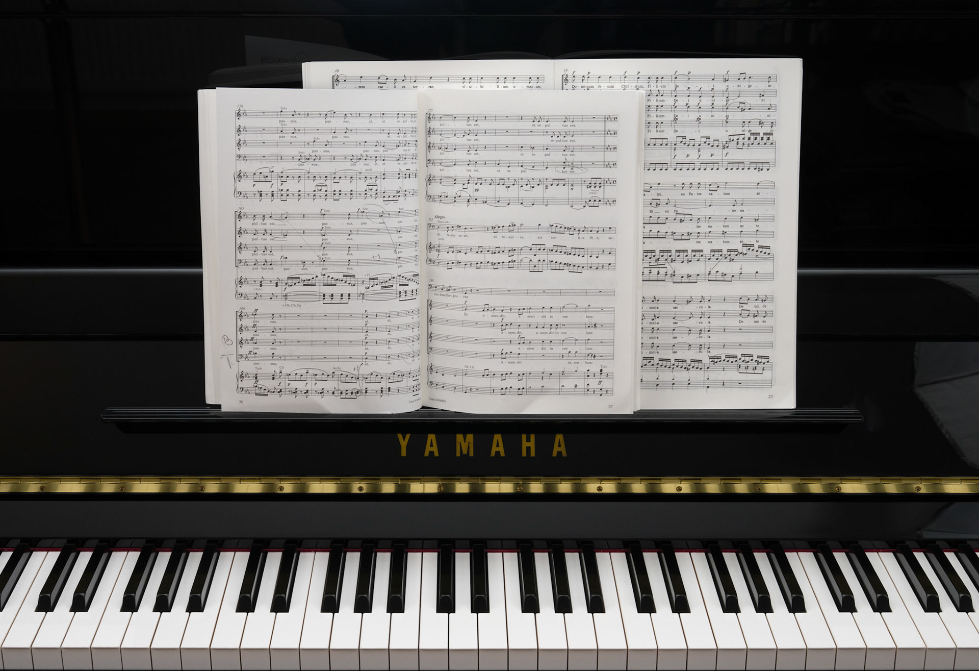 Serie Musik