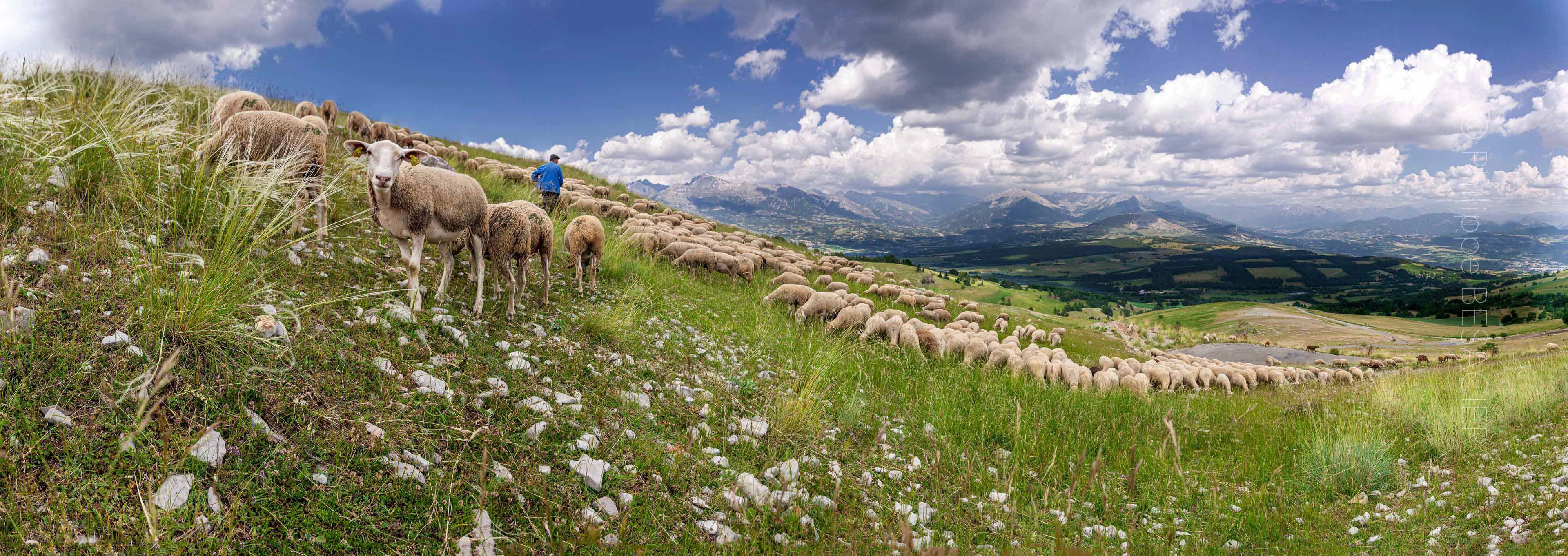 Gap (05) - Massif du Dévoluy, au dessus du col Bayard.