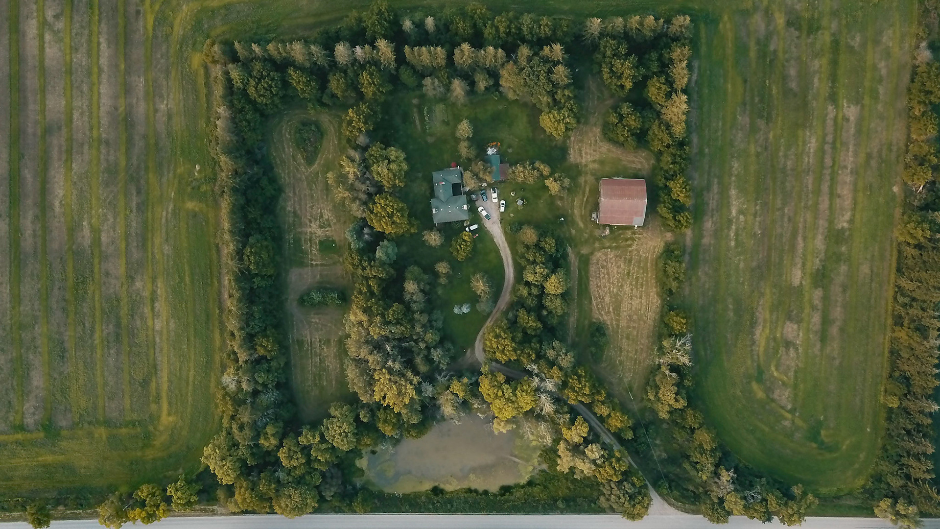 Ontario Farm Looking Down