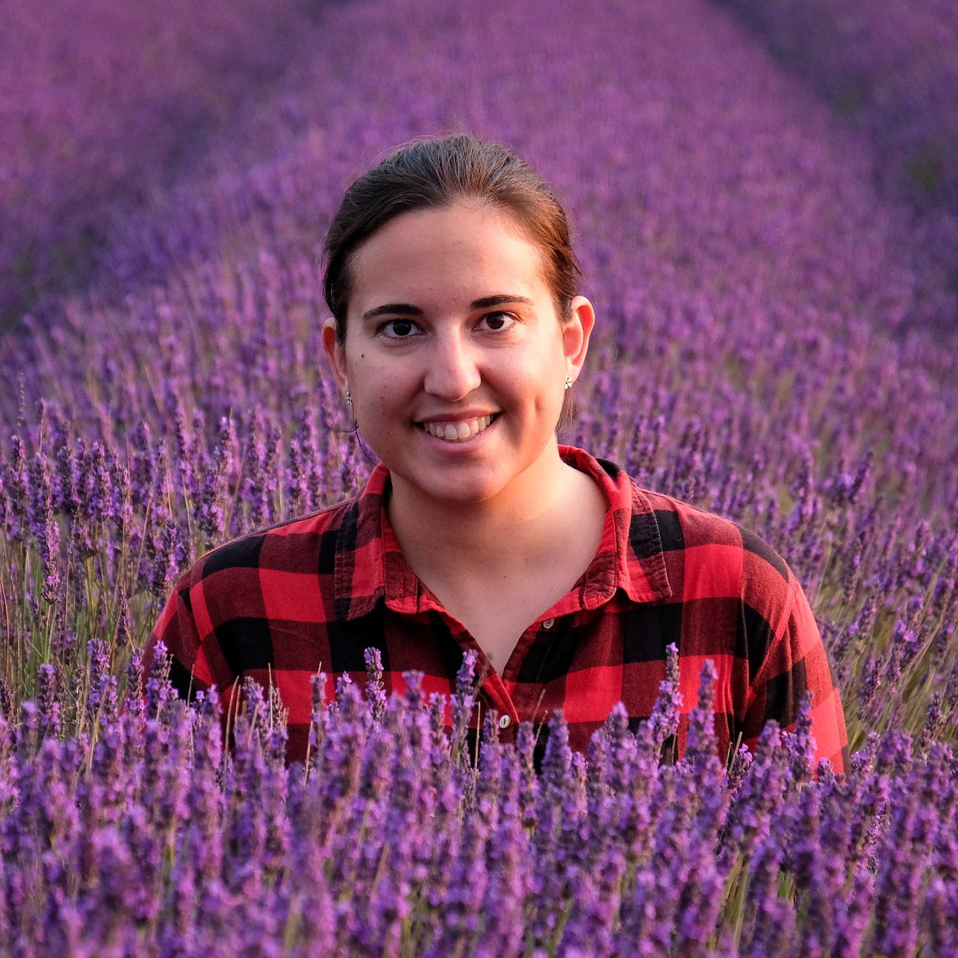Hitchin Lavender Farm