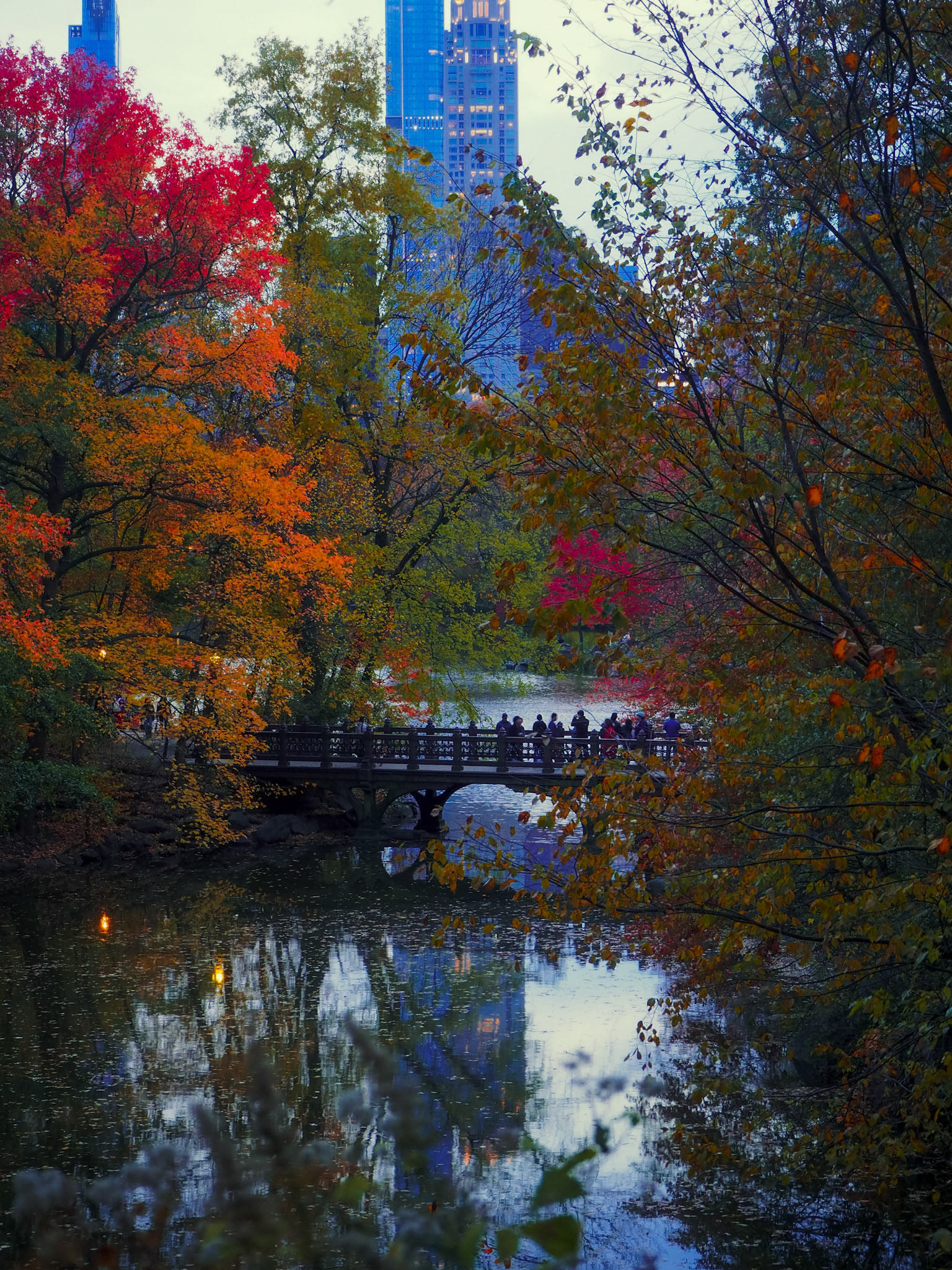 Central Park, NYC