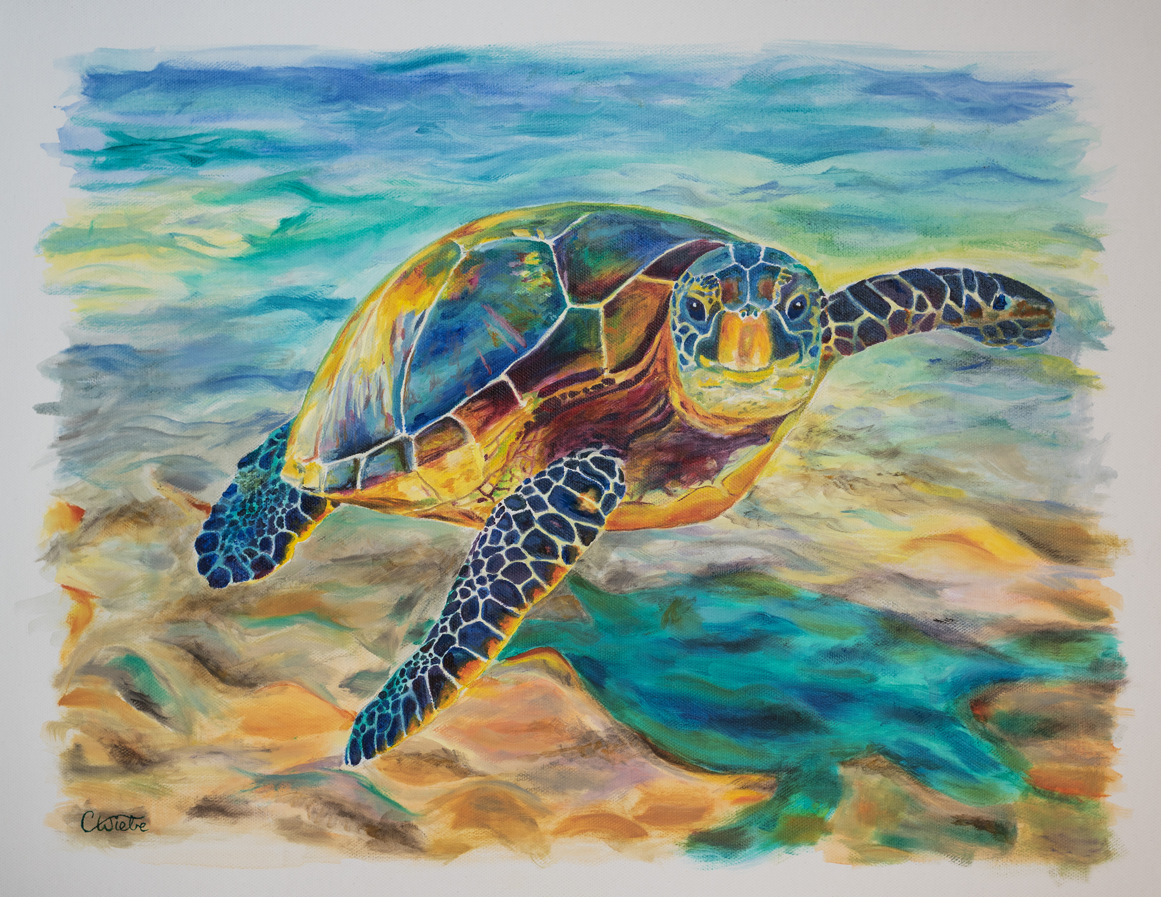 Oil Paint on Canvas