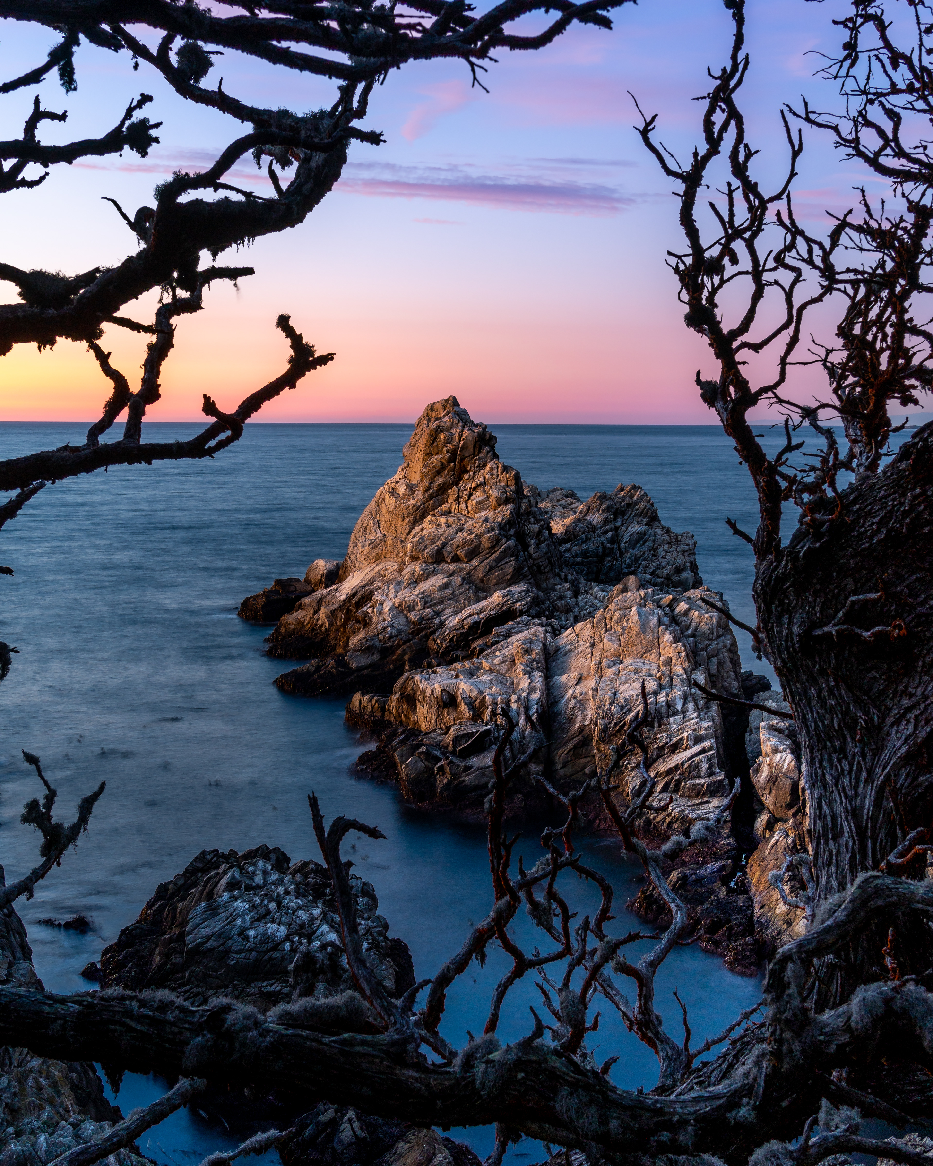 Point Lobos