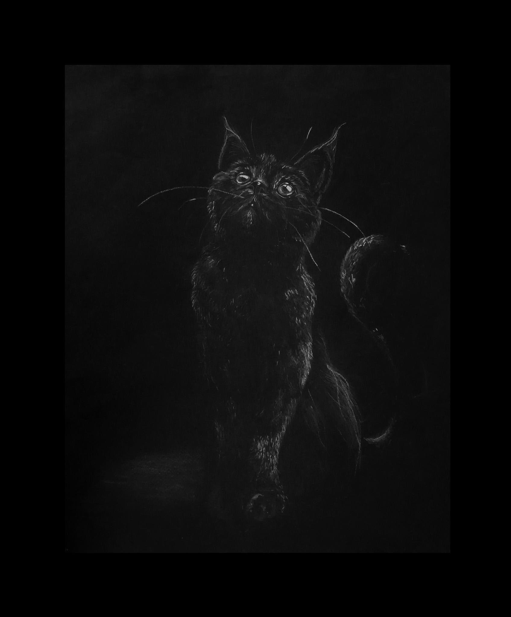 Chat