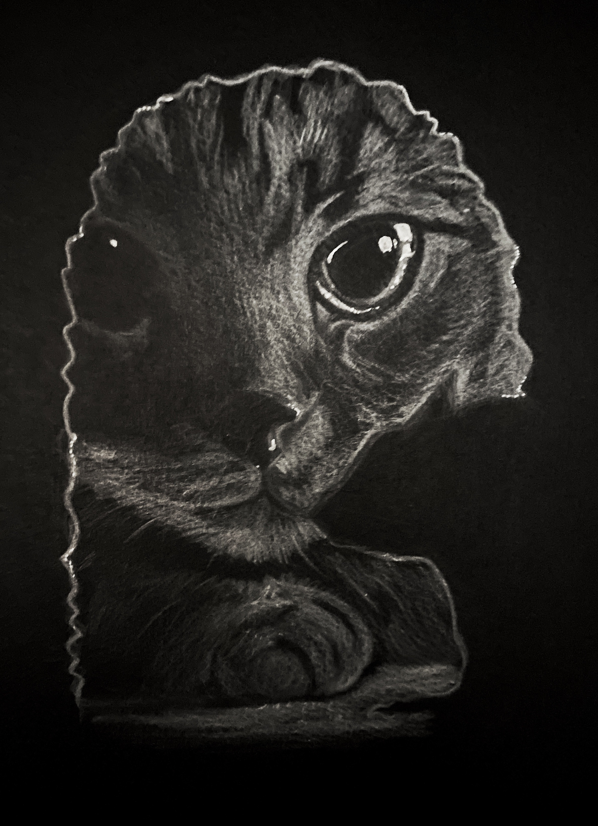 Titre " Le chat et la souris "