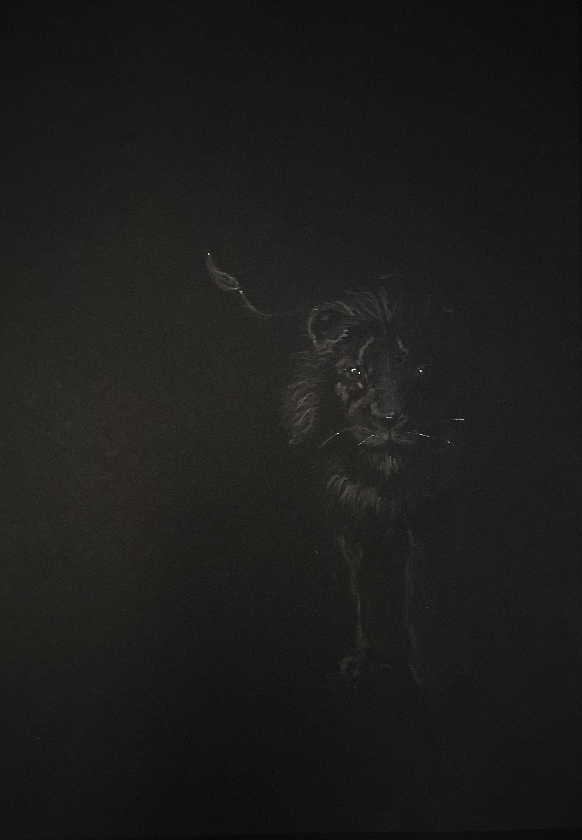 lion
