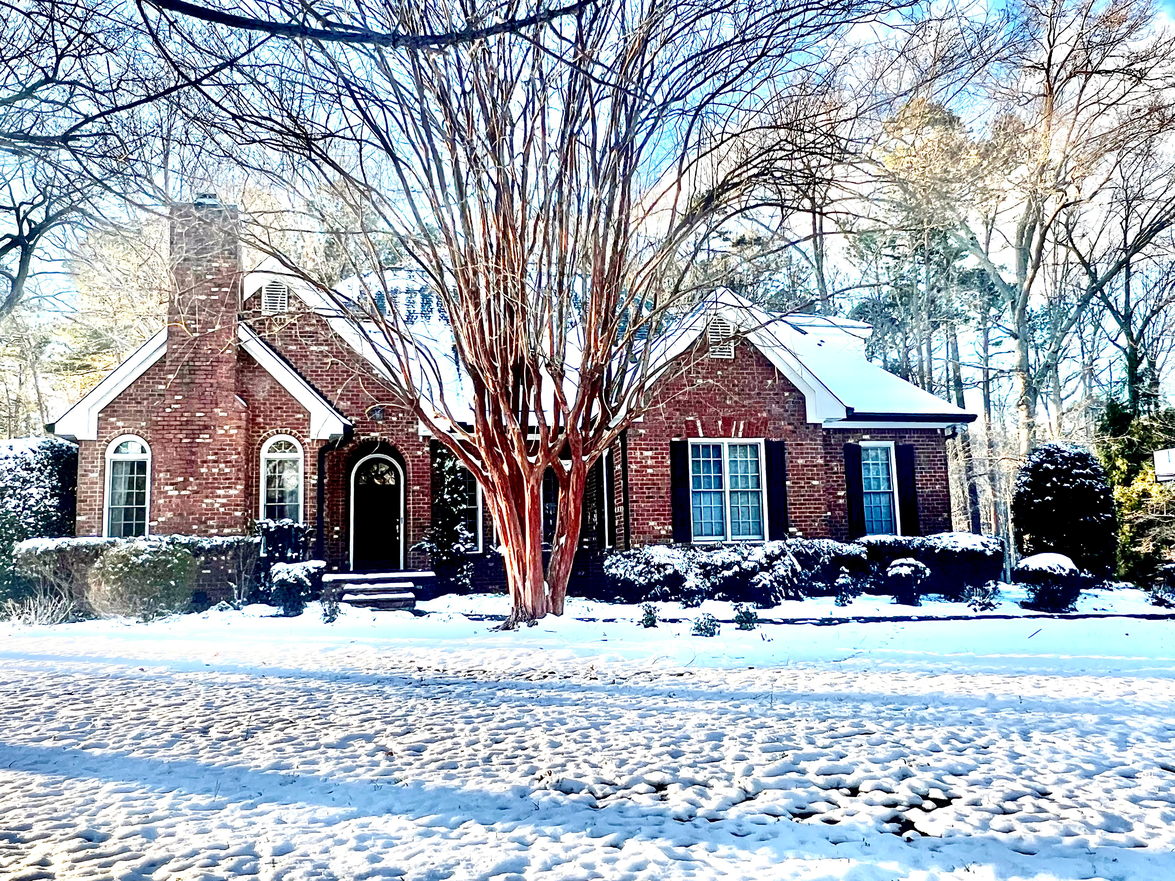 Winter majesty