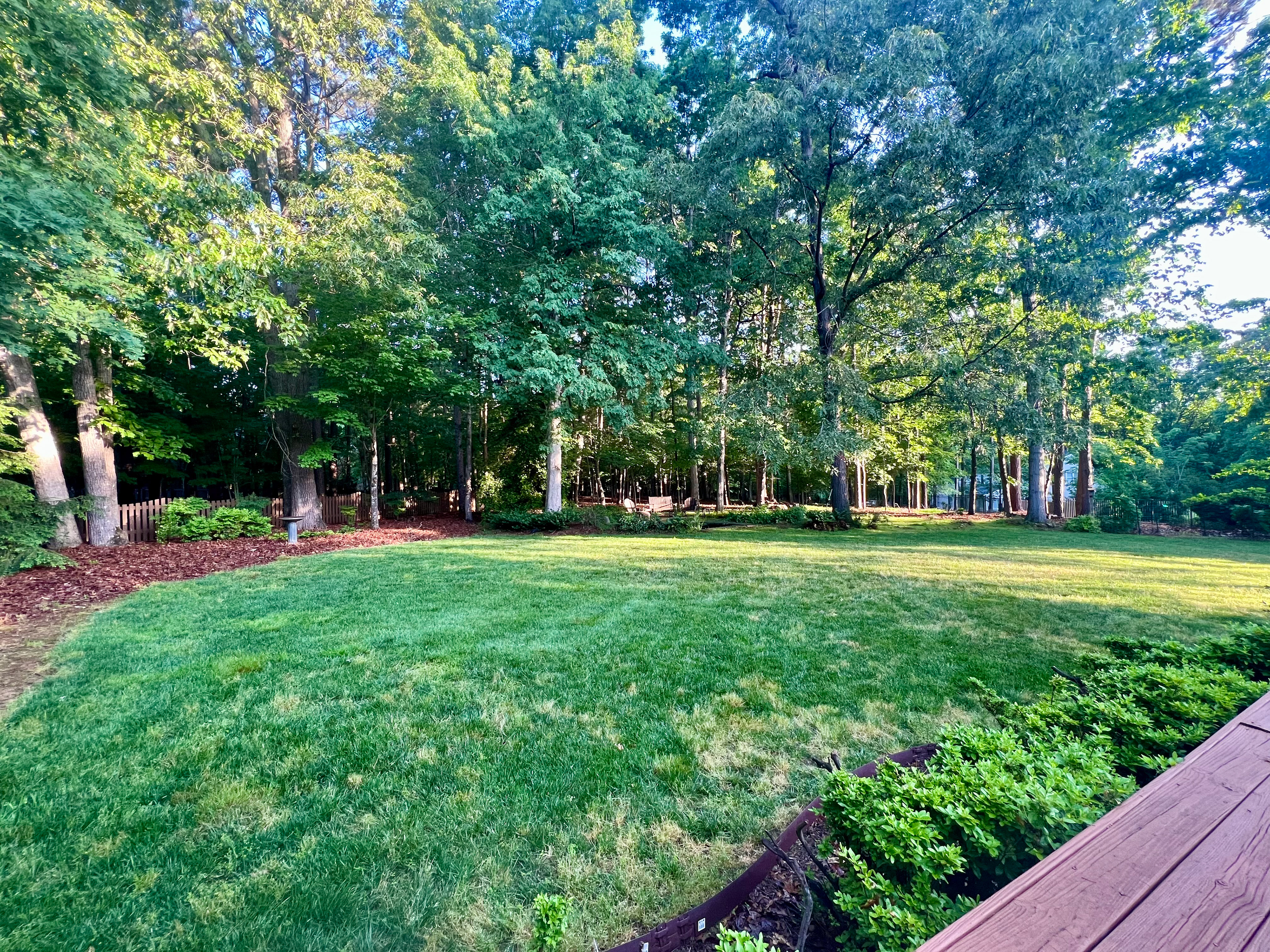Large back yard