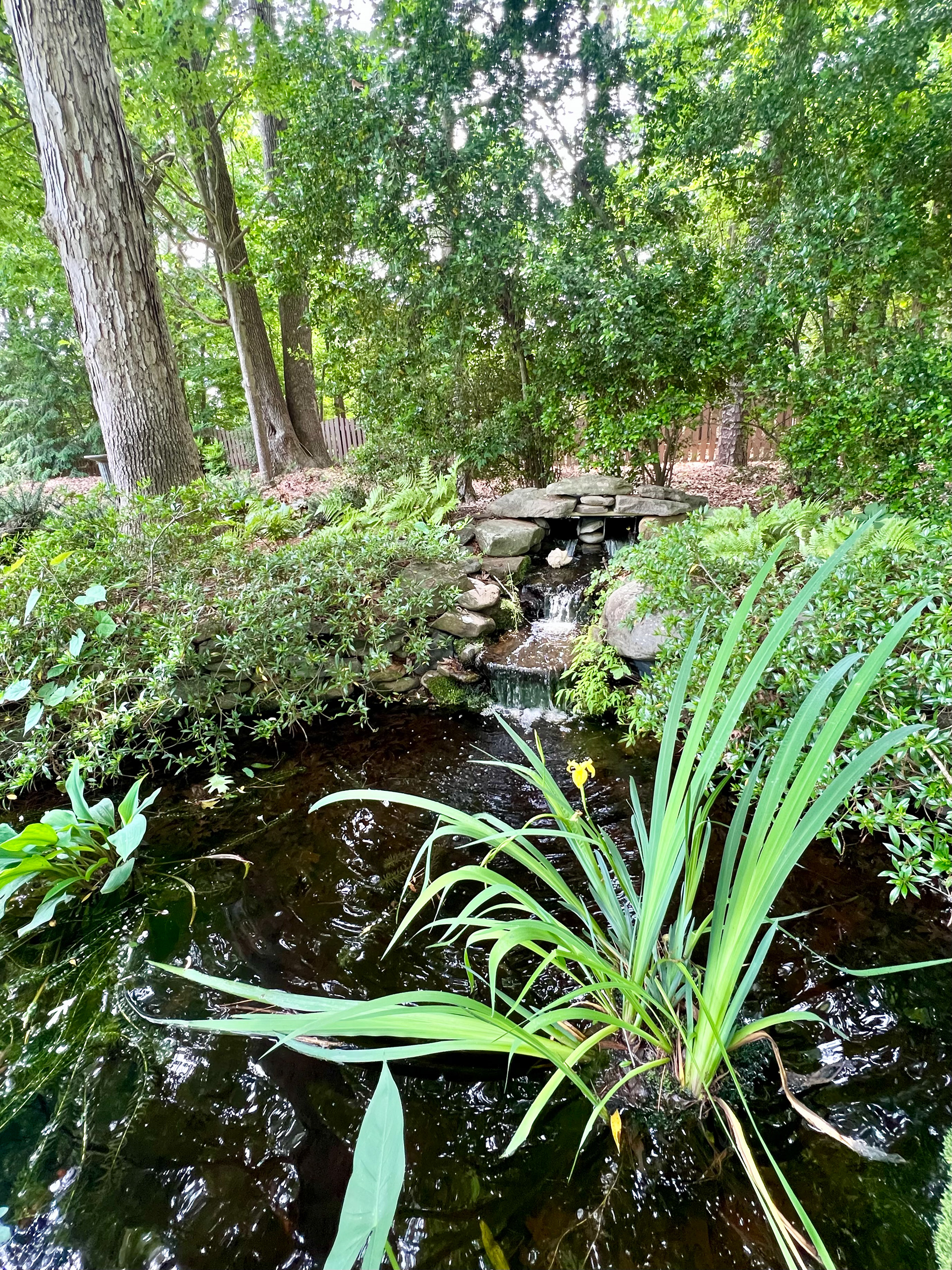 Waterfall and pond