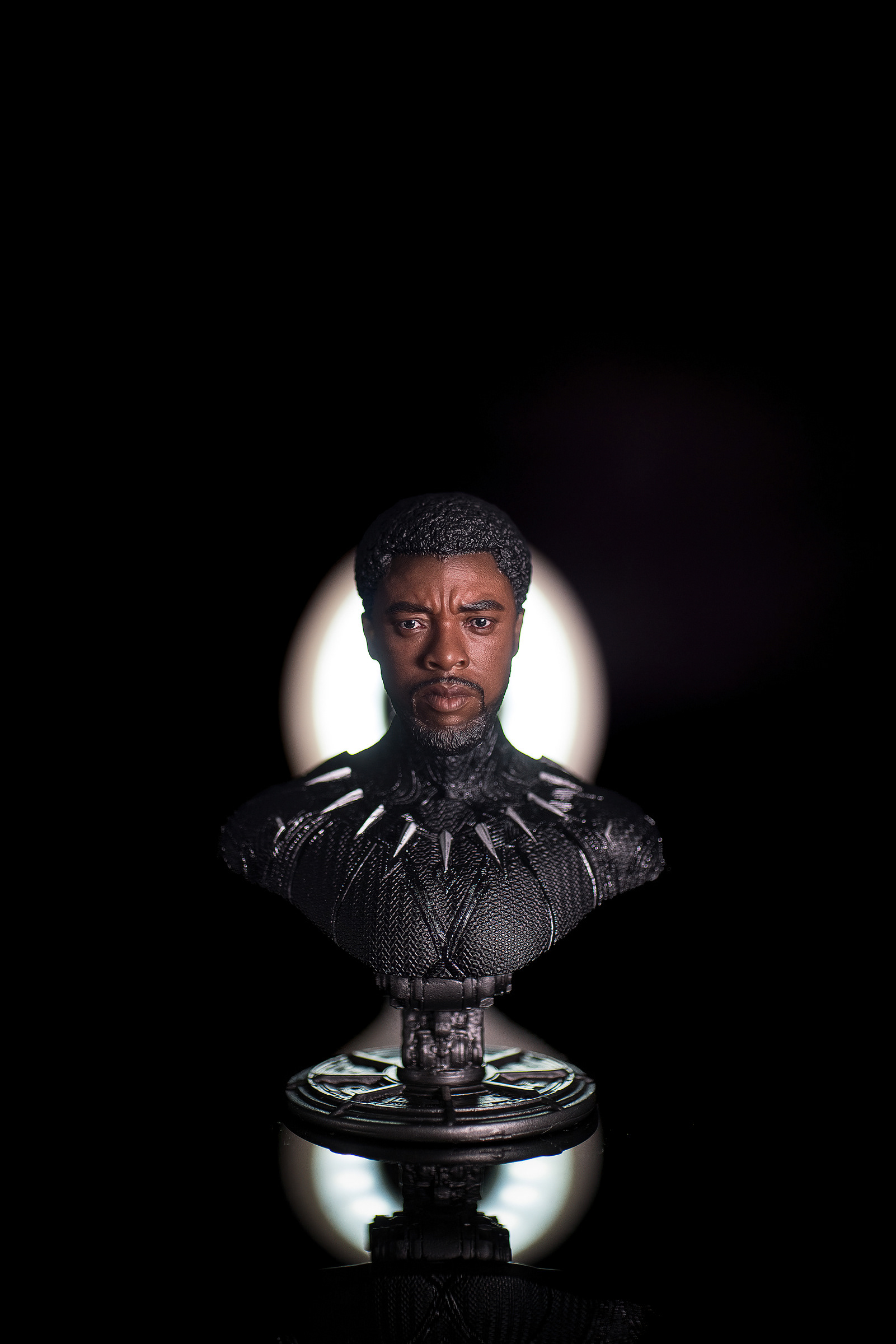  Black panther(T'challa) Maxnut Studio