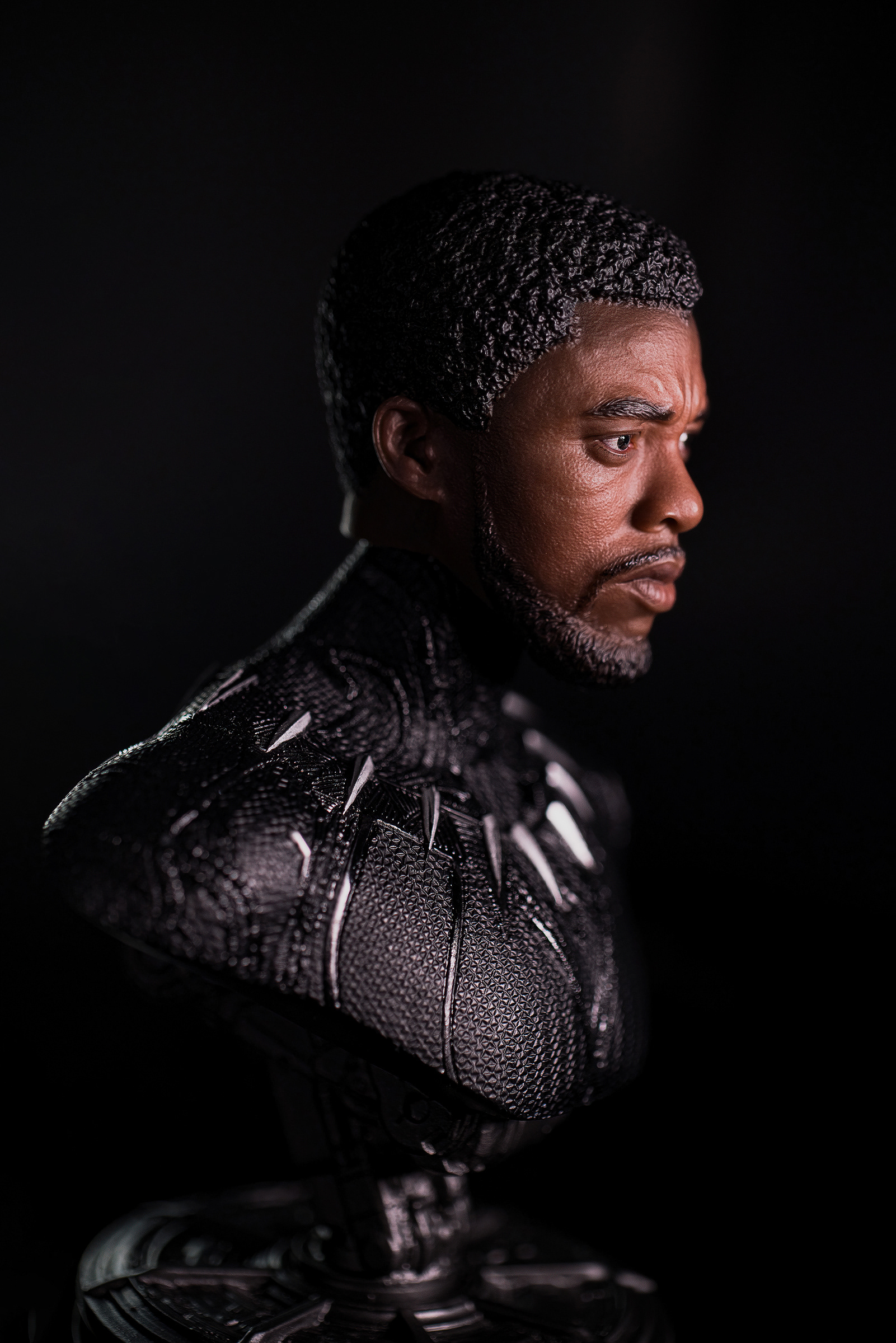  Black panther(T'challa) Maxnut Studio