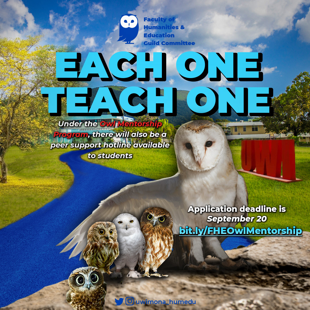 Owl Mentorship program