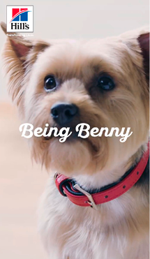 Benny's adventures begin