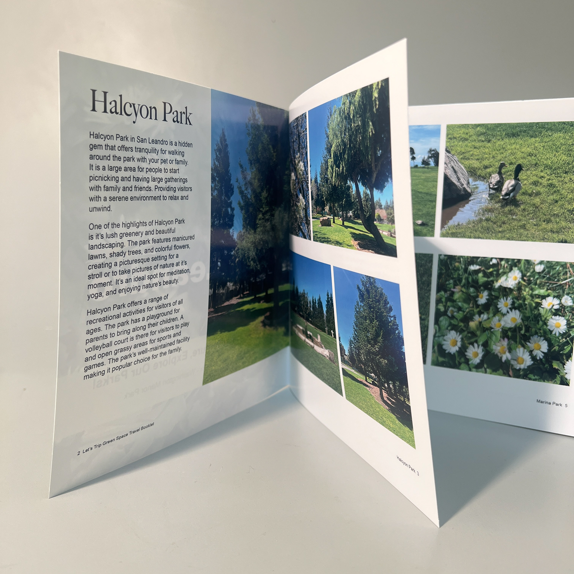 First Page (Halcyon Park)