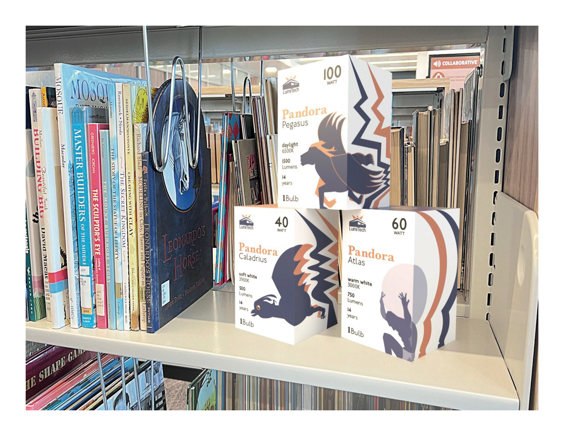 Lightbulb Package Setting