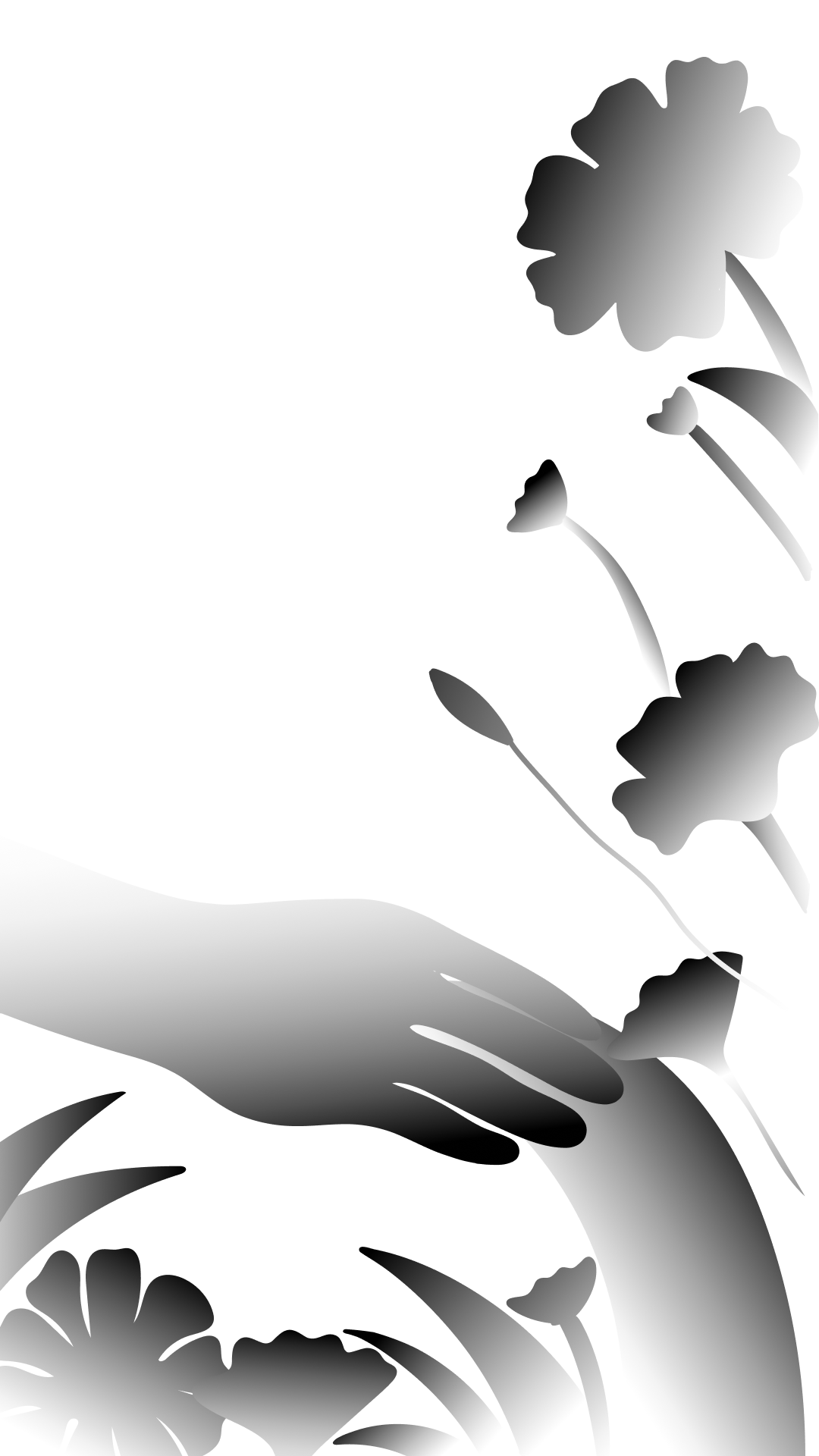 professional graphics