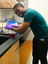 Chinweike Okegbe
