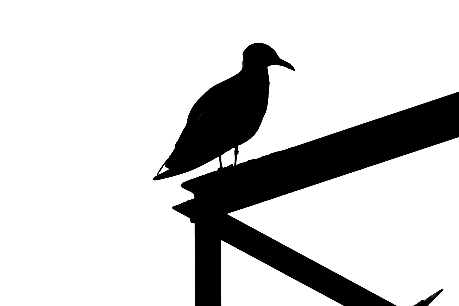 B&W Bird Silhouette Set #4