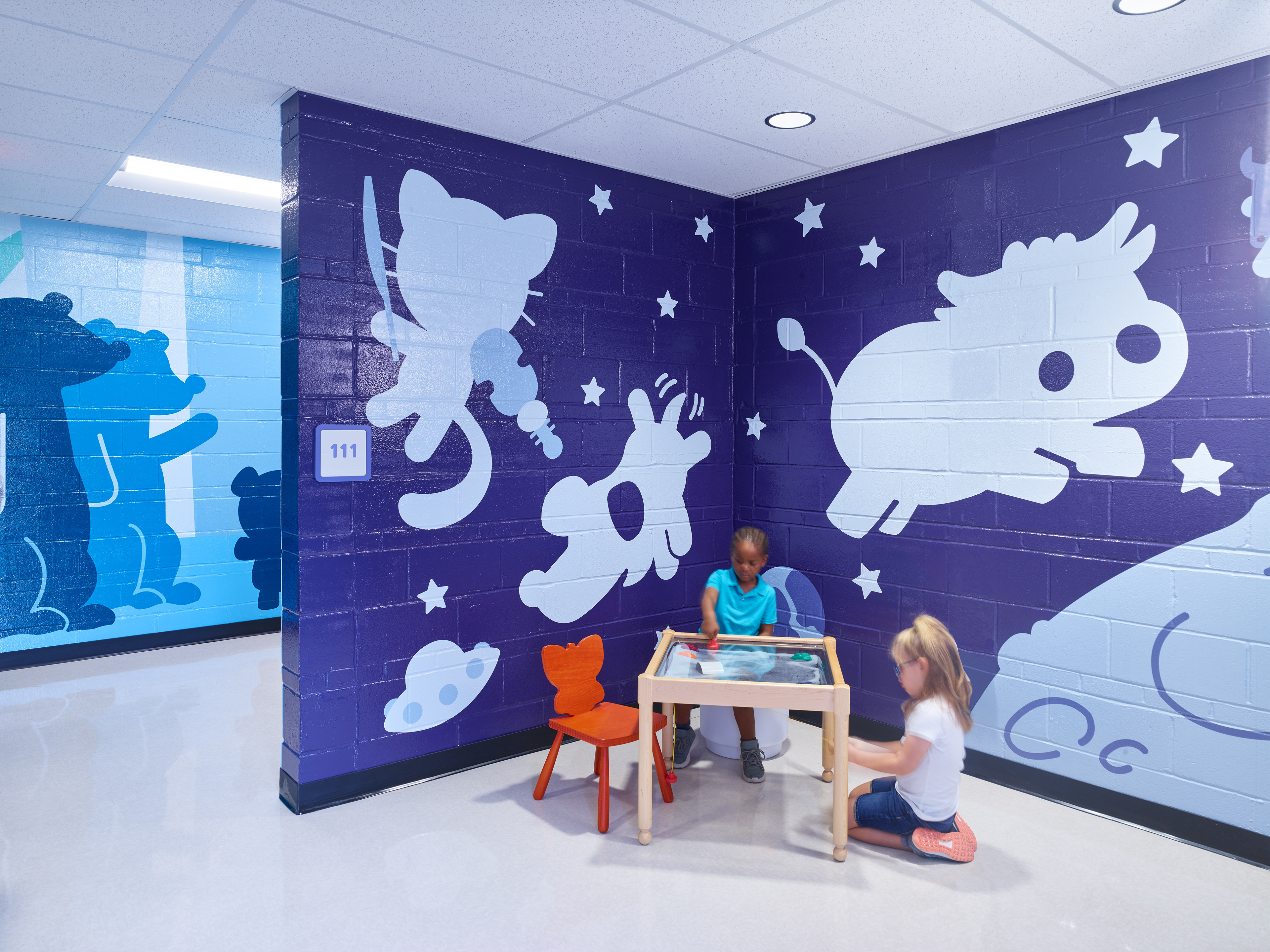 Wall Murals - Photos taken from Hollis + Miller website